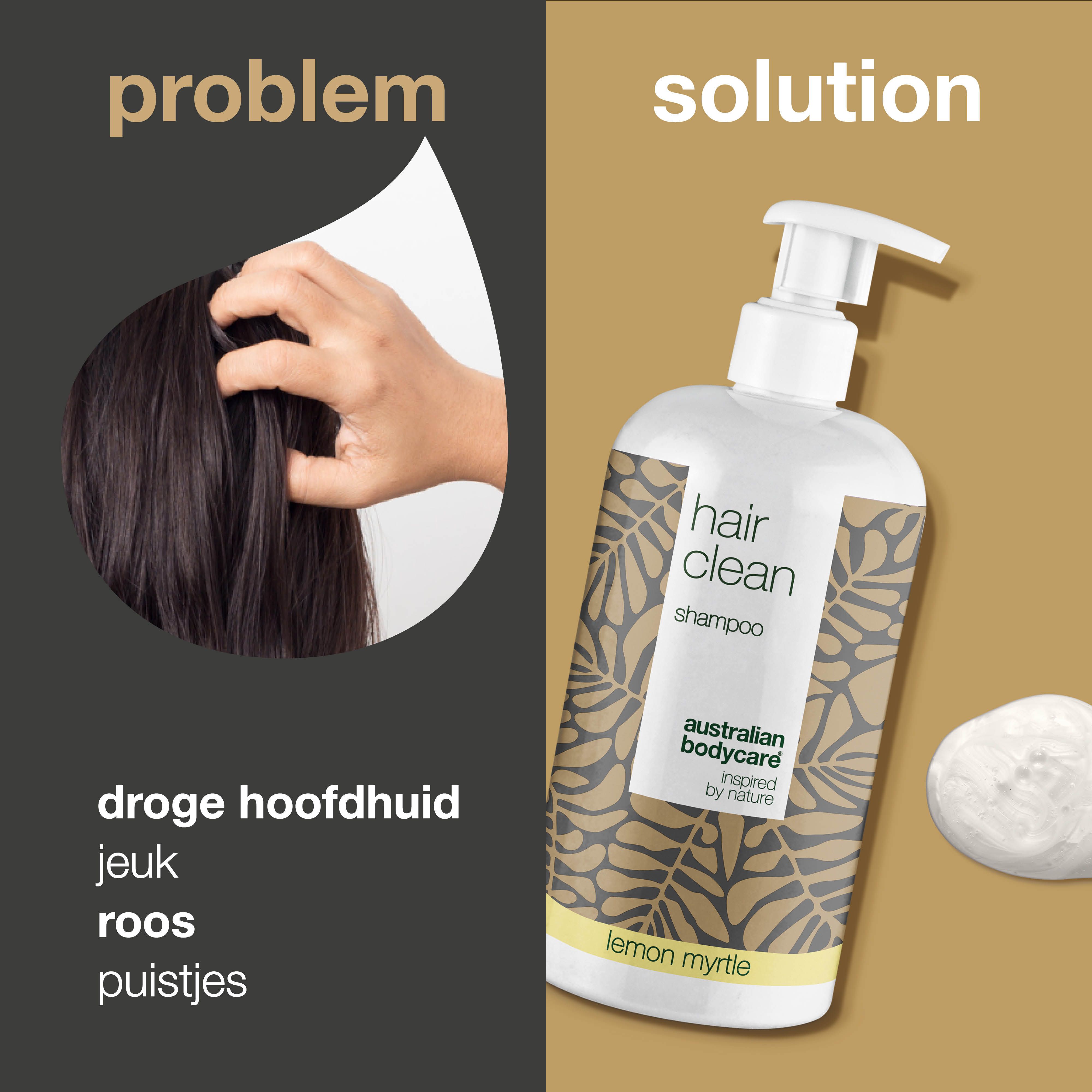 Probleem-oplossing presentatie. Links: hand raakt hoofdhuid aan. Rechts: shampoo fles en product sample. Tekst: Hair Clean Shampoo.