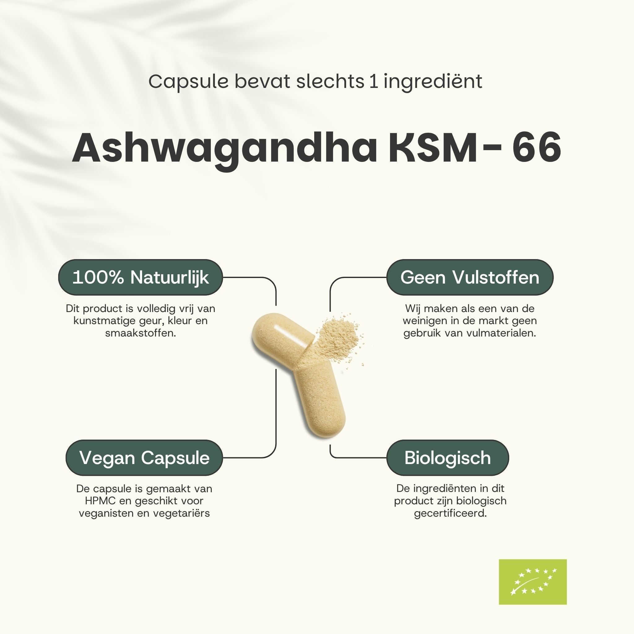Bruine pouch met Ashwagandha KSM-66 capsules, 500 mg, biologisch extract, naast groene bladeren.