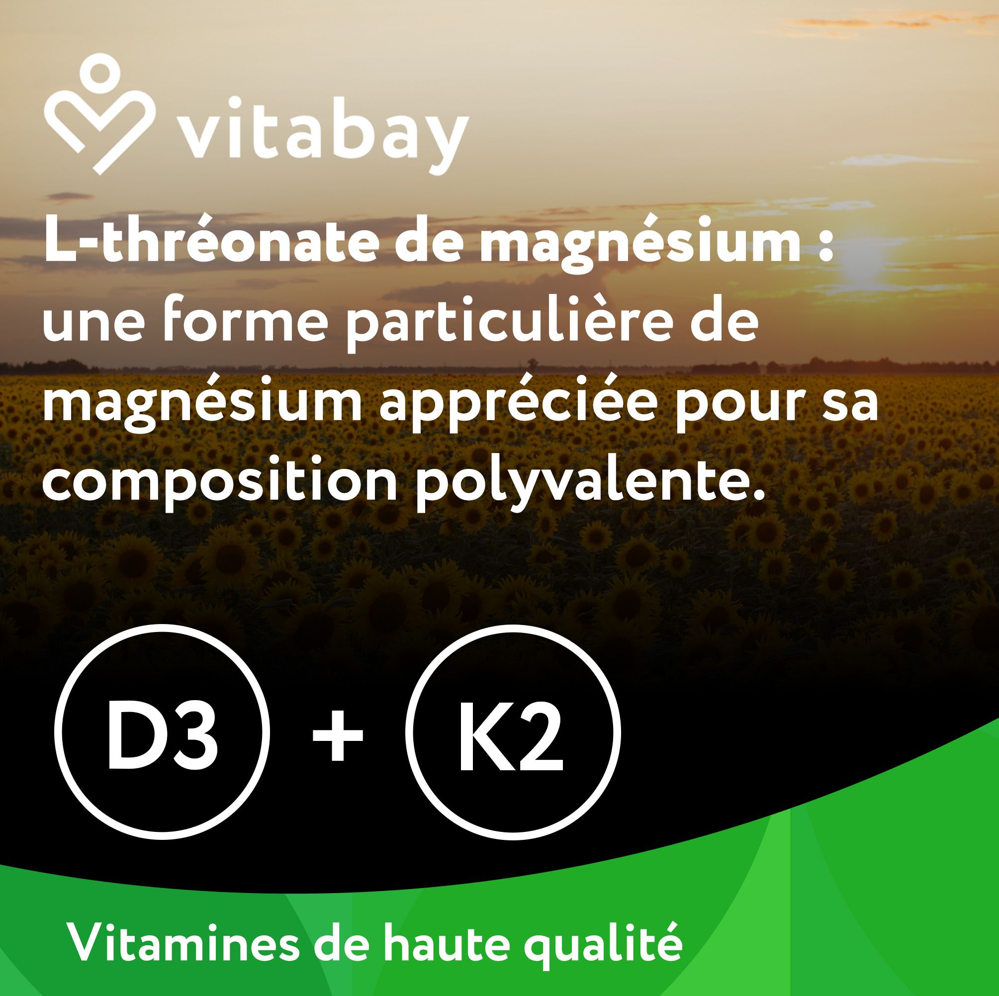 Vitabay Magnésium L-Thréonate Liposomal. 120 Gélules. Combinaison innovante. Composition naturelle.