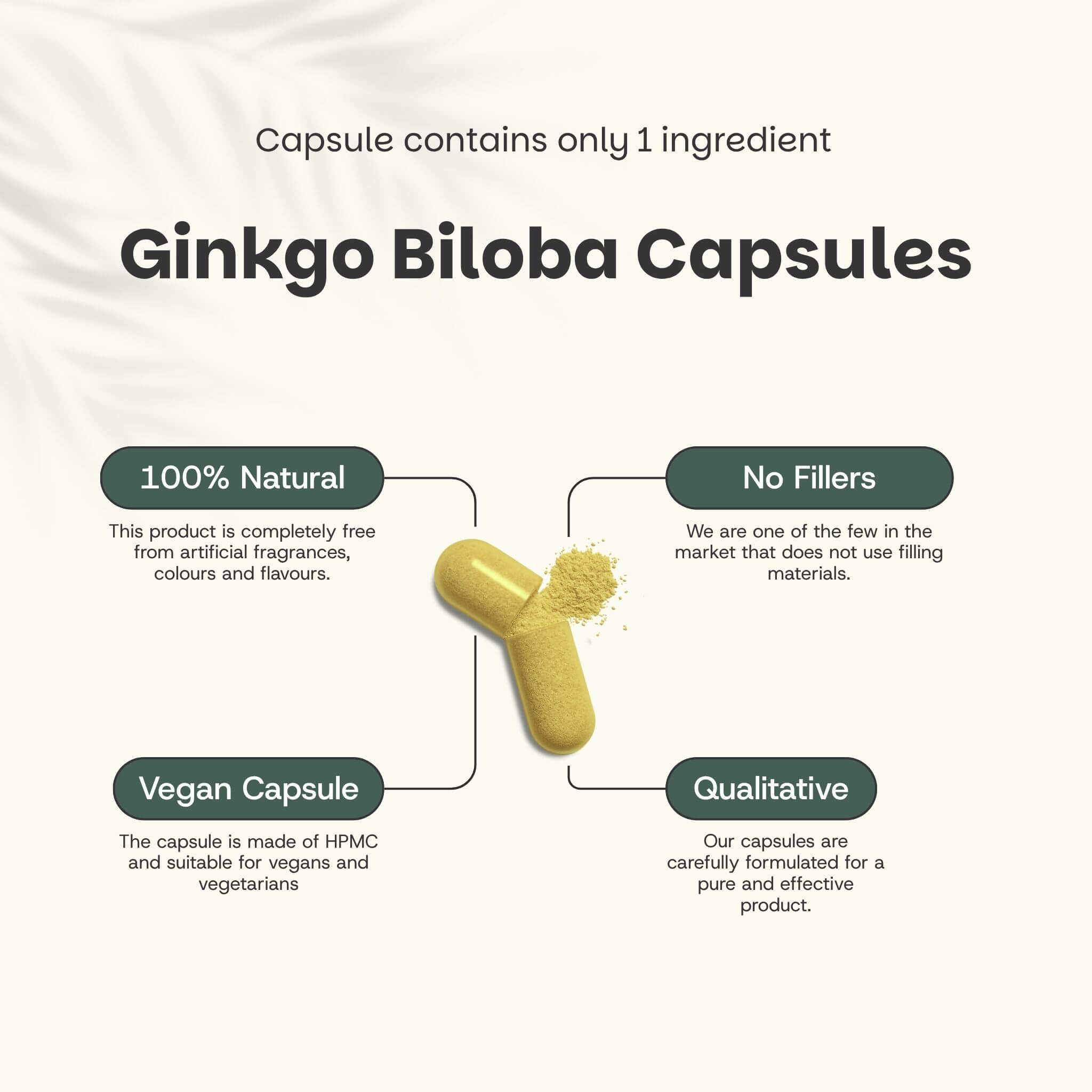 Gélule de Ginkgo Biloba avec contenu. Texte : 100% naturel, sans agents de remplissage, gélule végétalienne, qualitative.