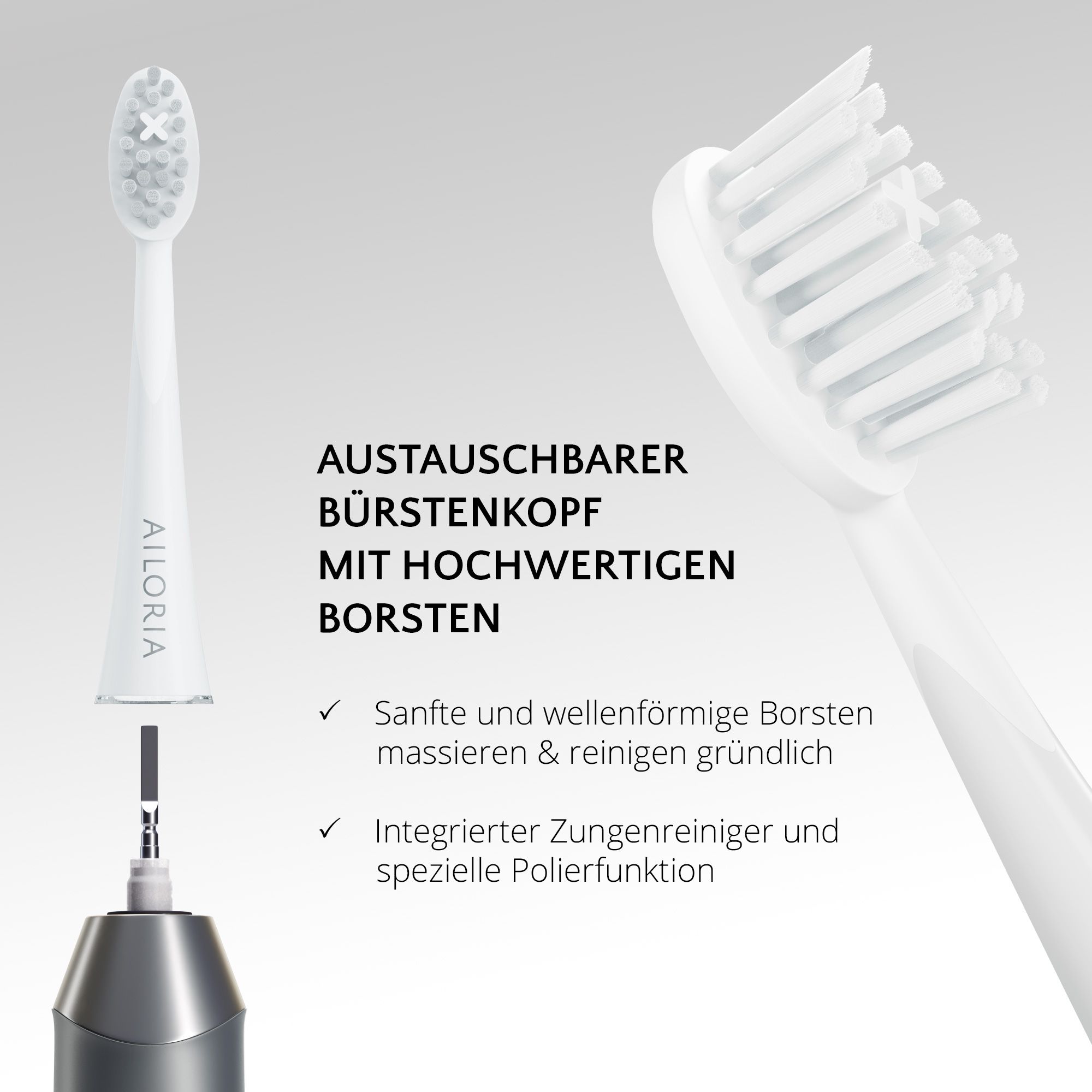 Tête de brosse remplaçable avec soies de haute qualité. Nettoyeur de langue. Logo AILORIA.