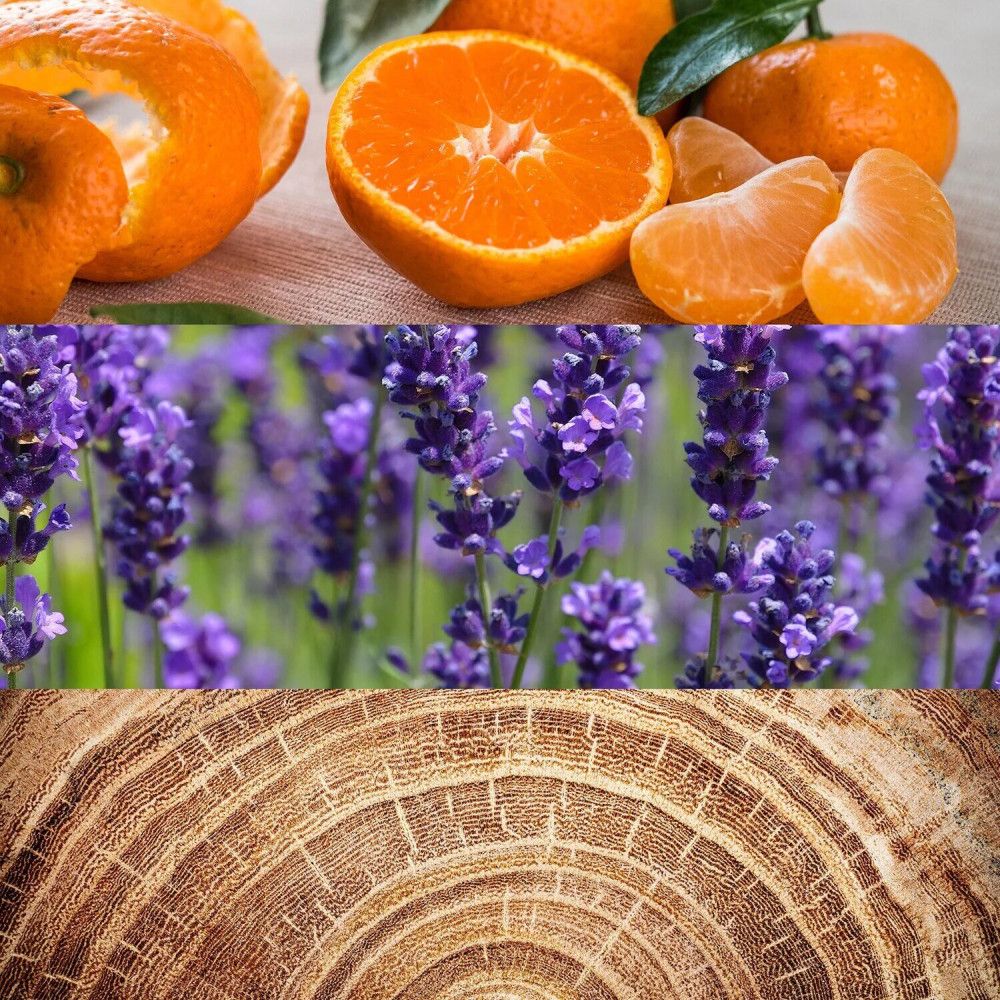 Trois bandes horizontales : oranges, fleurs de lavande, bois. Détails des ingrédients pour Calvin Klein Obsession for men.