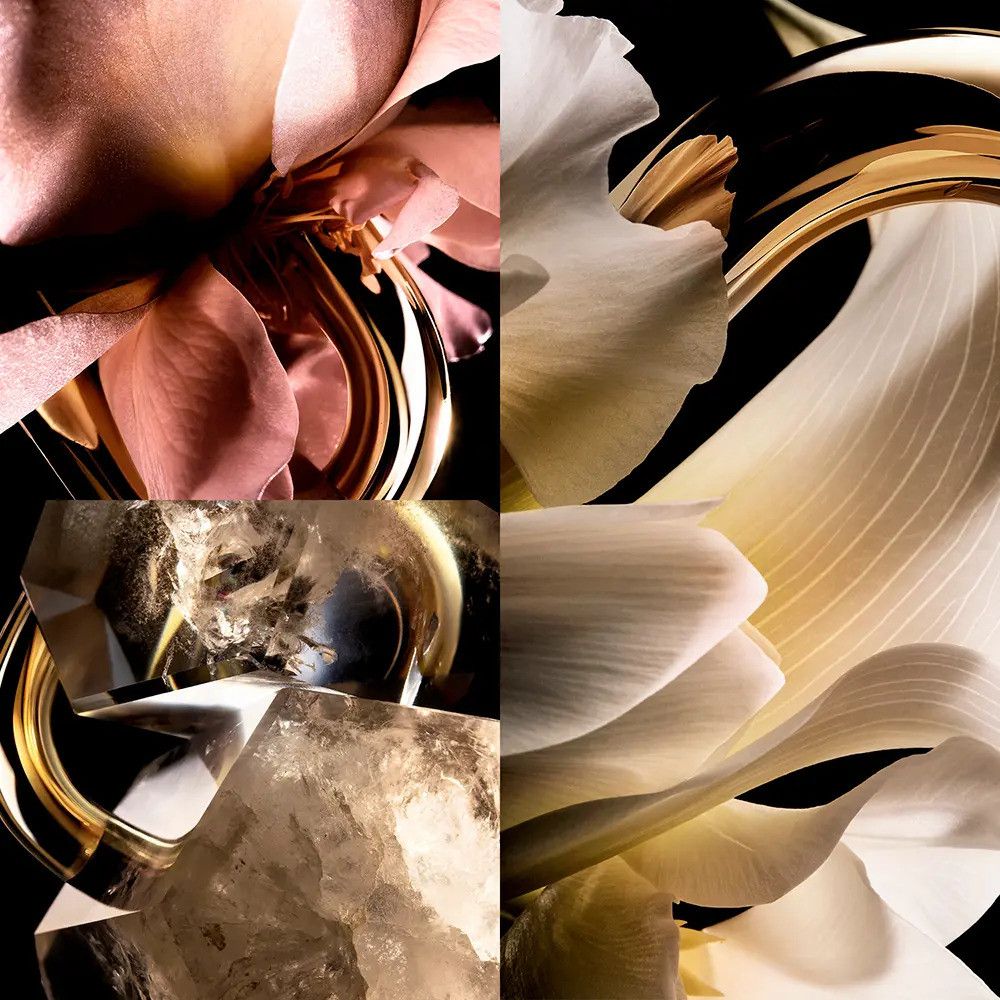 Gros plan de pétales et de cristaux dans des tons or et rose. Fond noir.