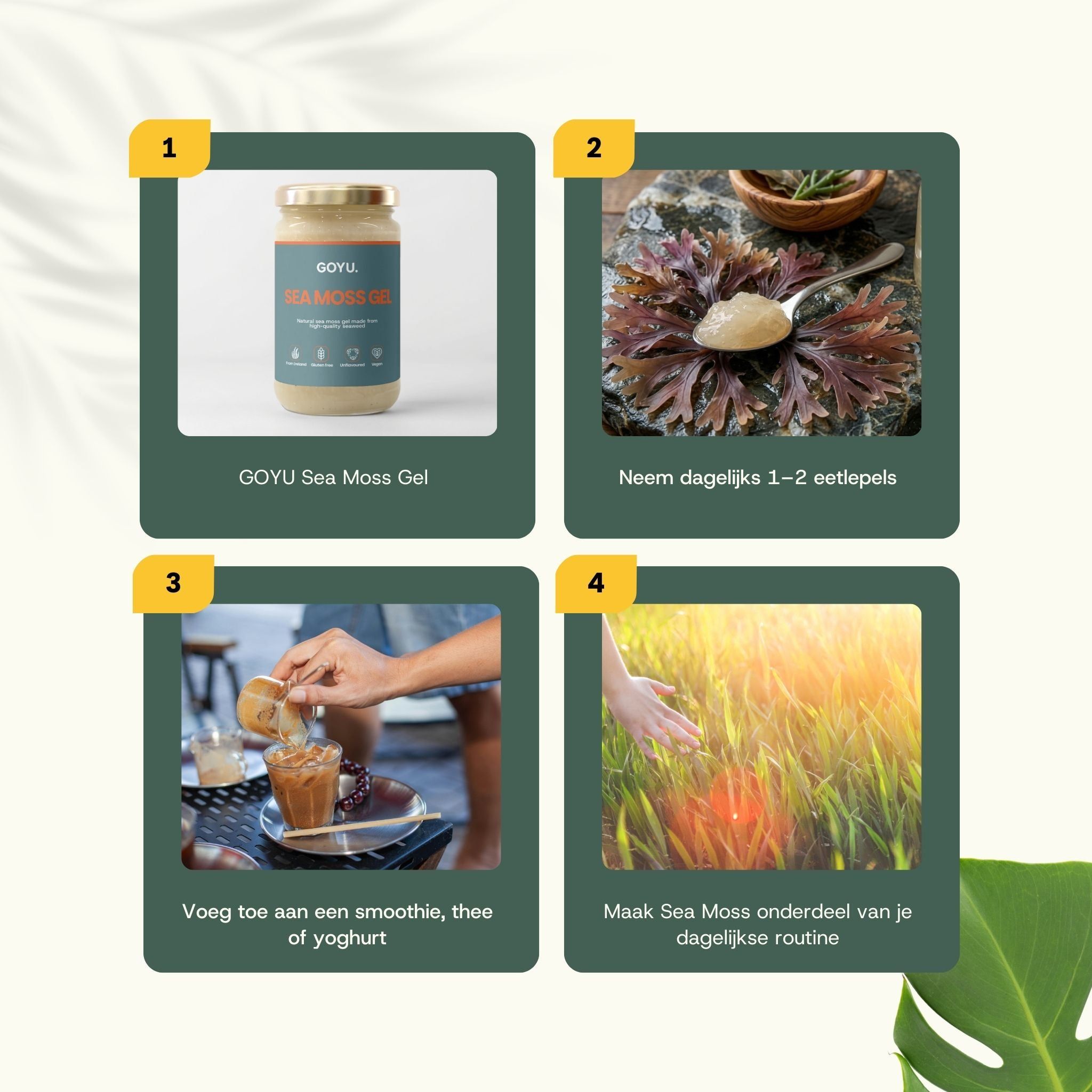 Vier stappen voor het gebruik van GOYU Sea Moss Gel, inclusief inname en mixen.