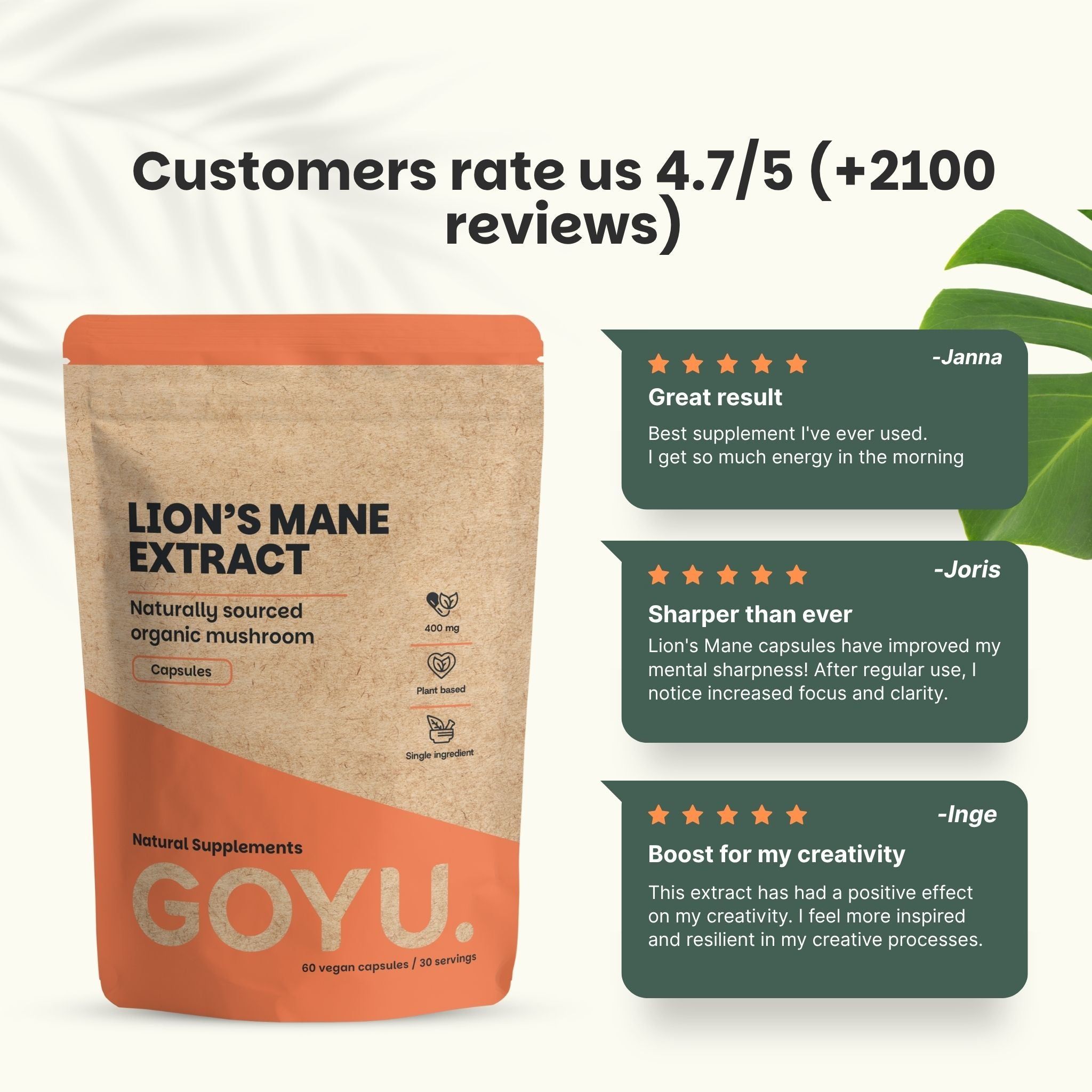 Comparaison des capsules de crinière de lion avec d'autres fournisseurs, avec des boîtes d'information et des plantes.