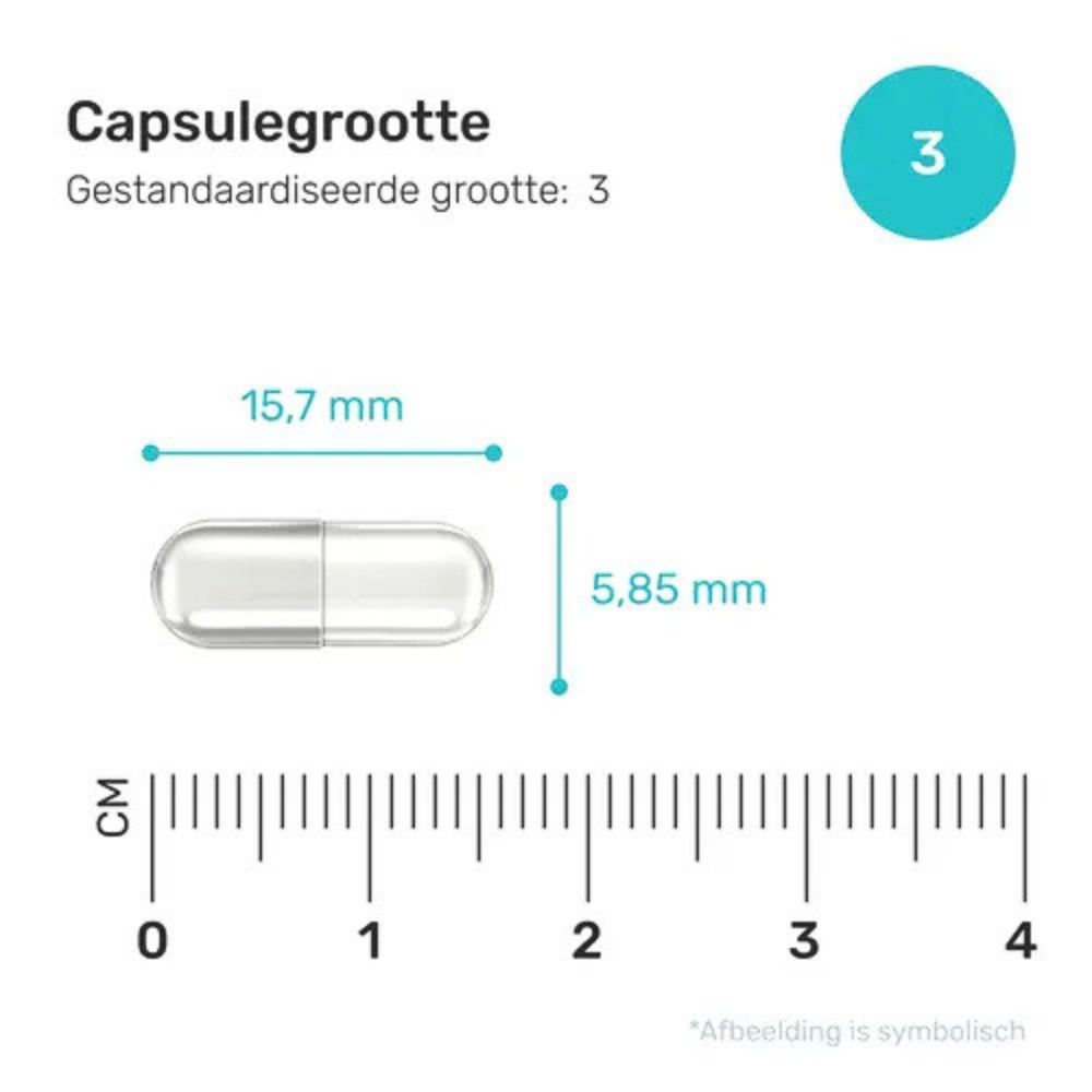 Capsule met afmetingen: 15,7 mm x 5,85 mm. Gestandaardiseerde maat: 3.