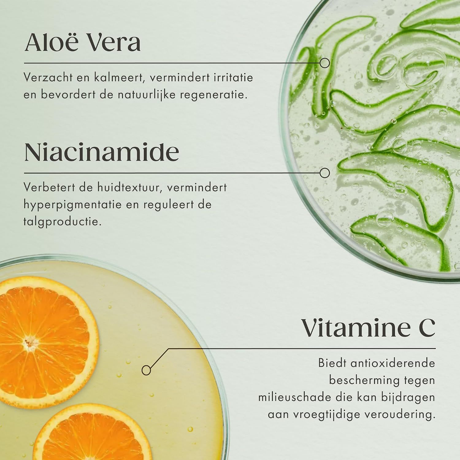 Ingrediënten: Aloë Vera, Niacinamide, Vitamine C.