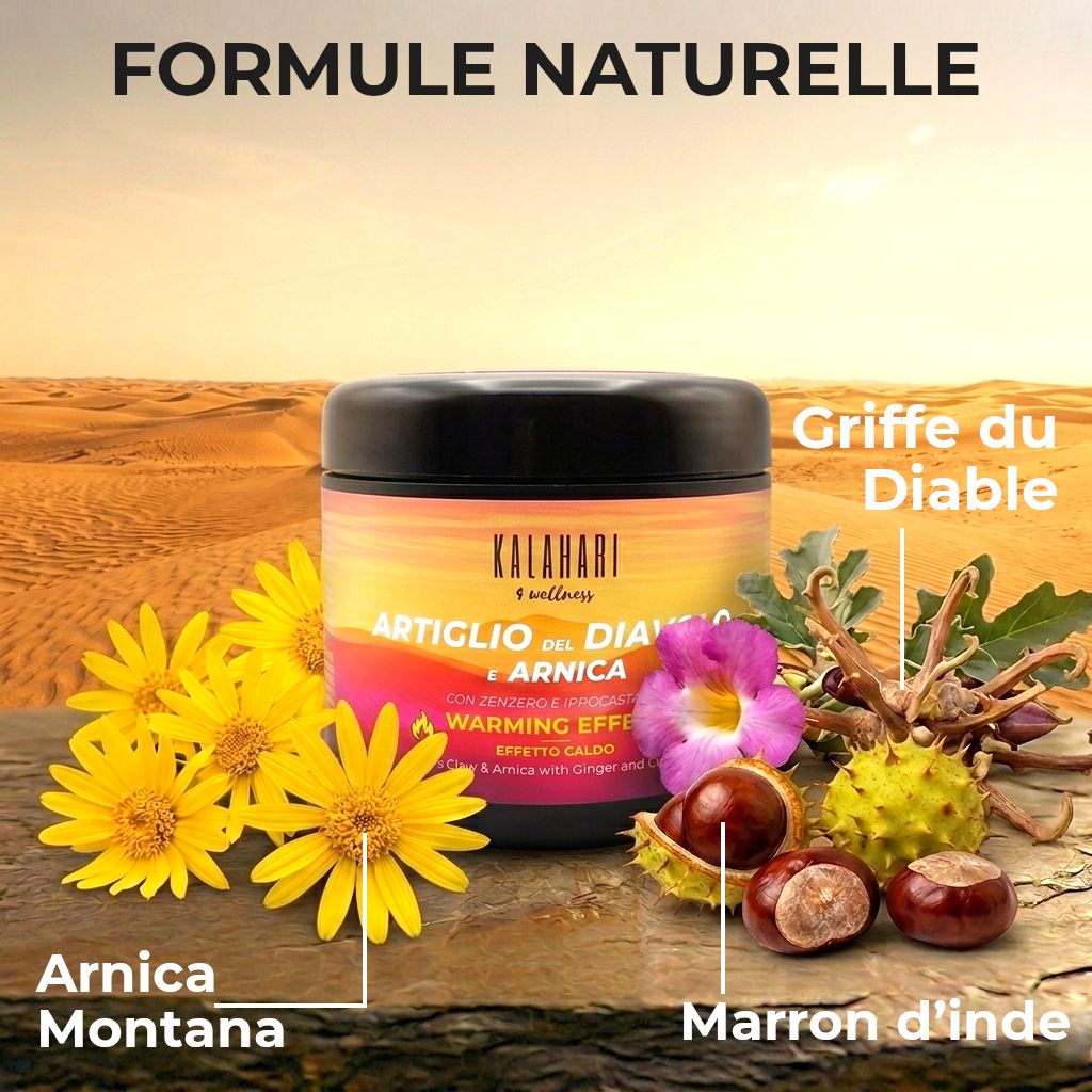 Pot avec griffe du diable, arnica, gingembre, marron d'Inde. Paysage désertique.