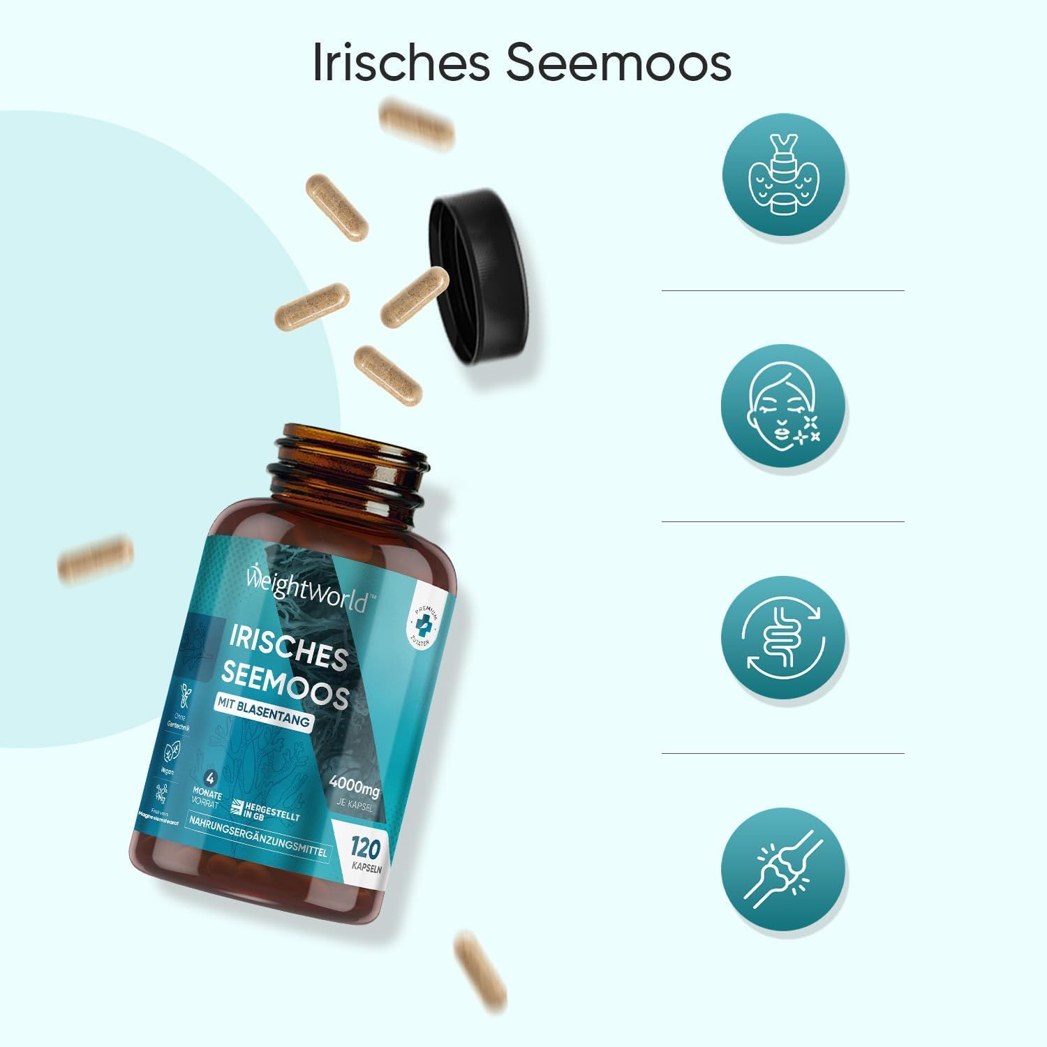 Bruine capsules en een fles WeightWorld Irisches Seemoos Kapseln. 120 capsules. Met gezondheidssymbolen.