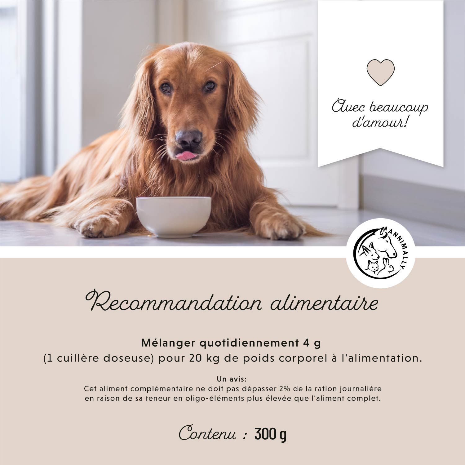 Golden Retriever avec gamelle. Texte: Recommandation alimentaire: 4 g (1 cuillère doseuse) par 20 kg de poids corporel.