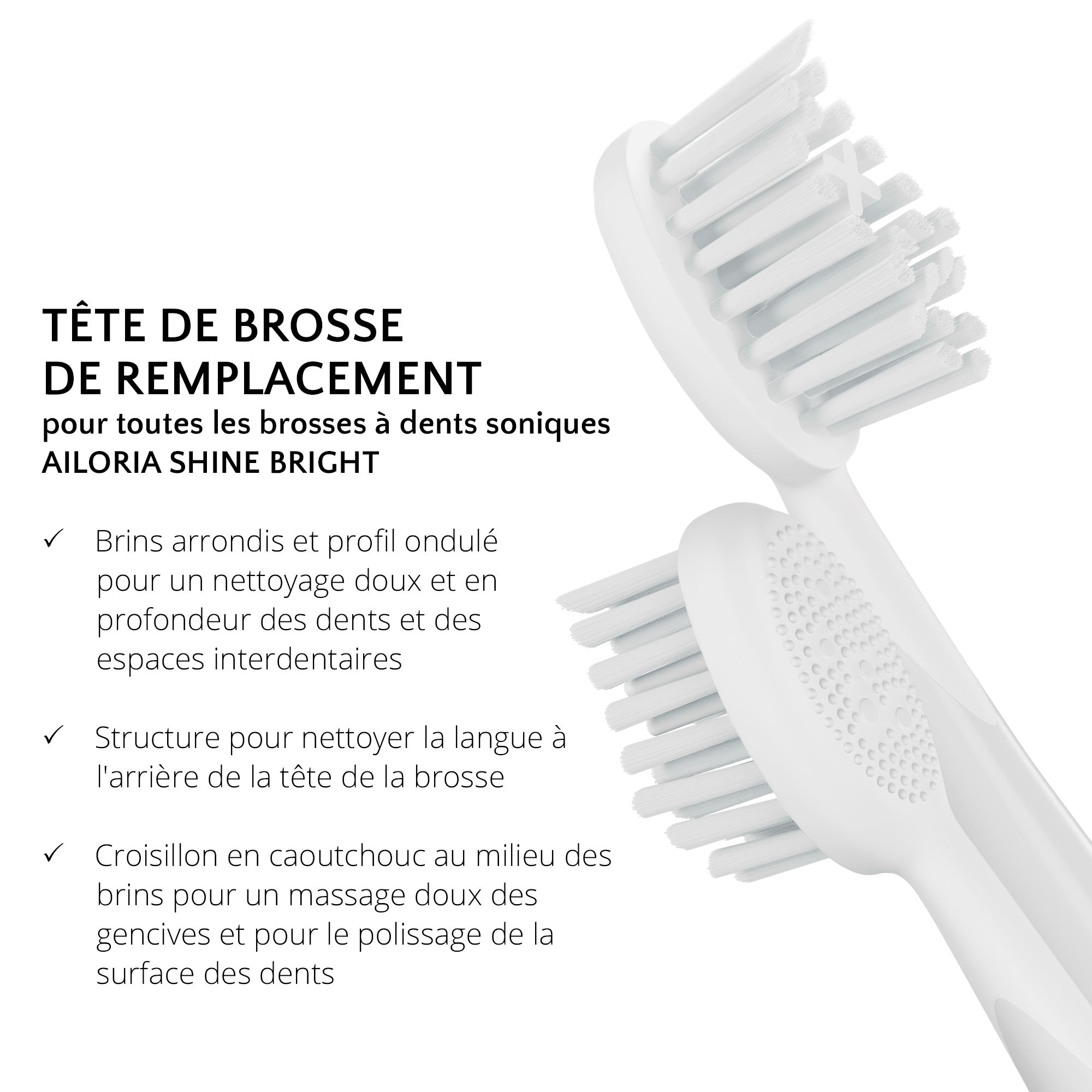 Gros plan de deux têtes de brosse de rechange blanches AILORIA SHINE BRIGHT. Texte: Tête de brosse de remplacement pour brosses à dents soniques AILORIA SHINE BRIGHT.