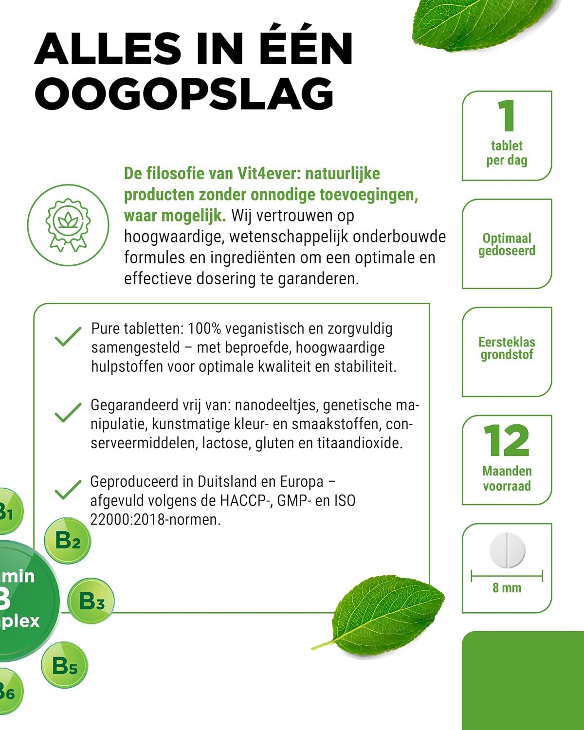 Vit4ever Vitamine B Complex: Voor je dagelijkse behoeften, 365 tabletten.