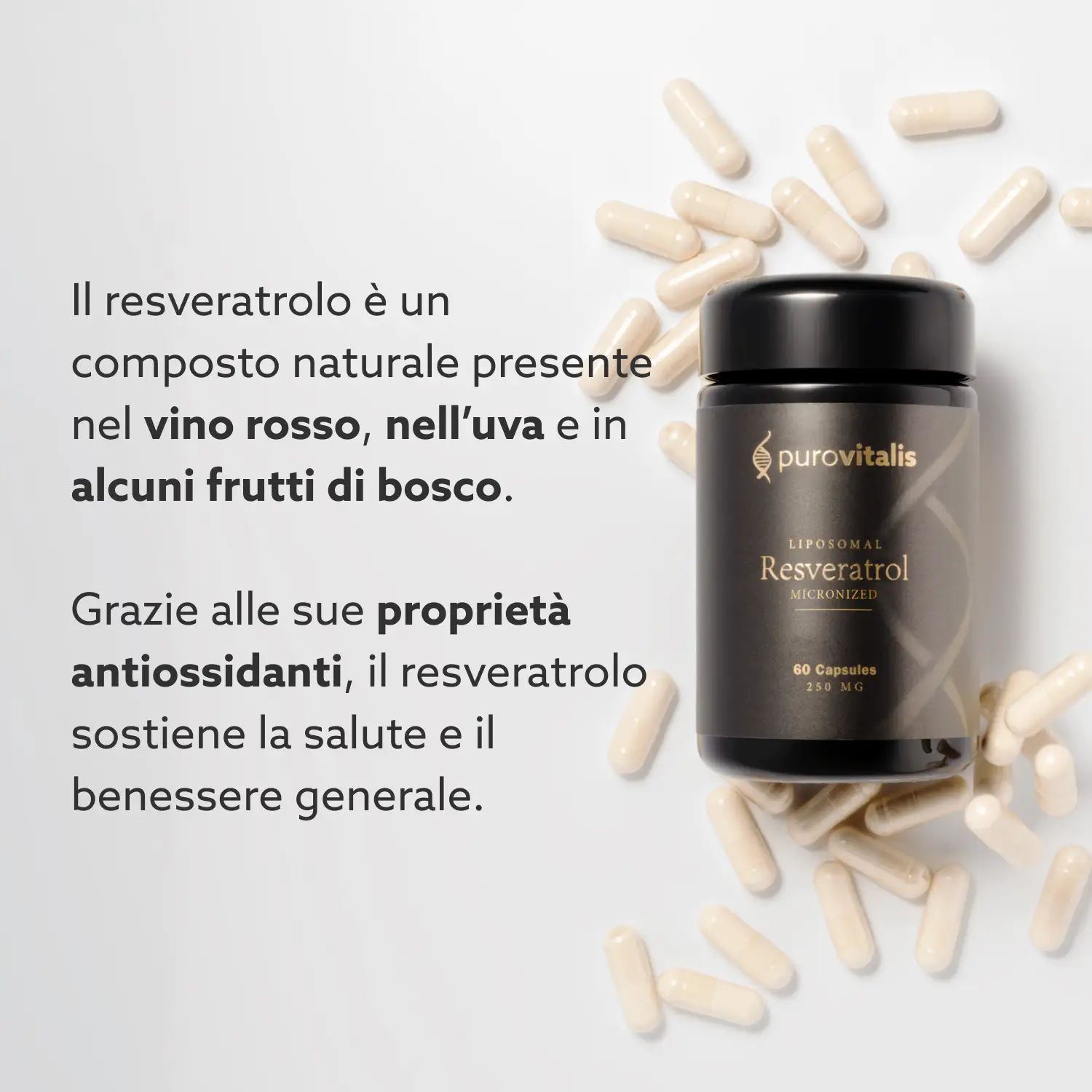 Capsules en fles met tekst: Purovitalis, Liposomaal Resveratrol, 60 capsules, 250 mg. Tekst.