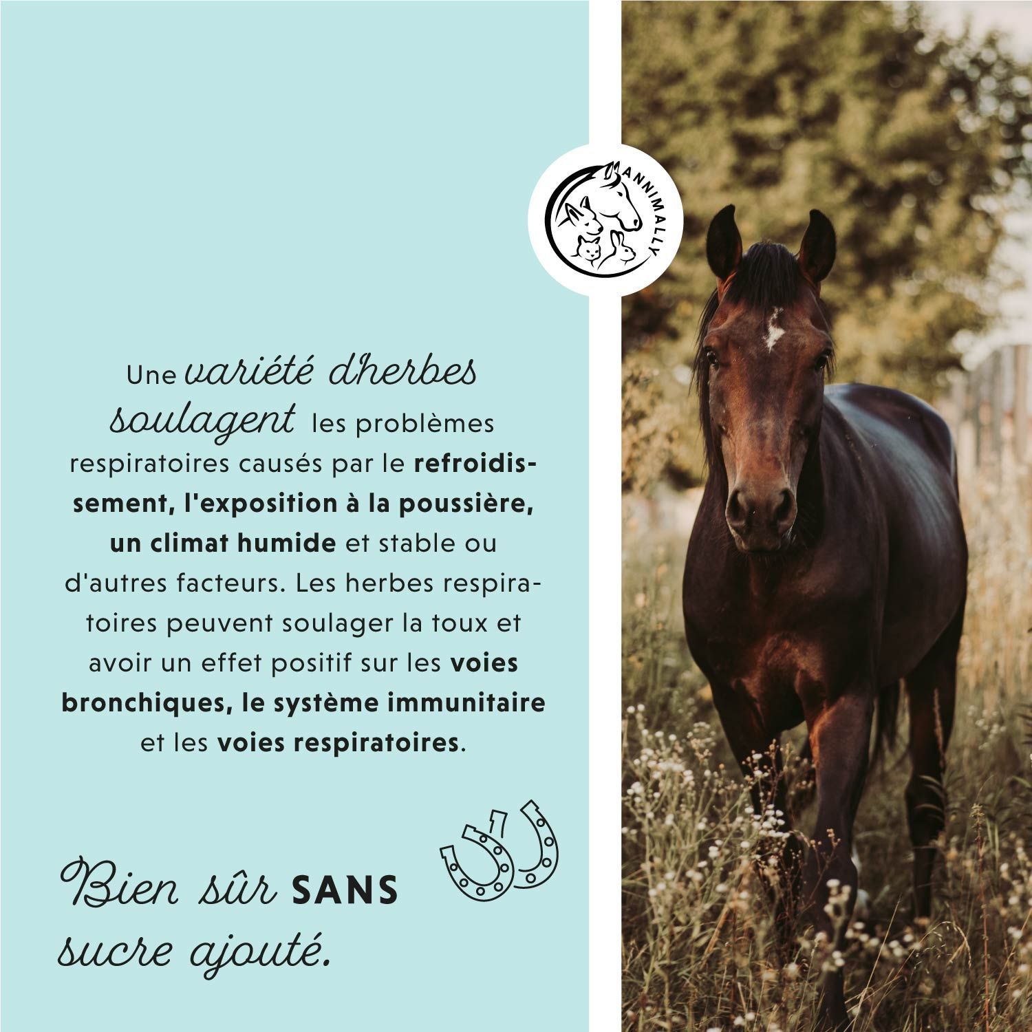 Cheval dans un champ. Texte: Une variété d'herbes soulagent les problèmes respiratoires. Sans sucre ajouté.