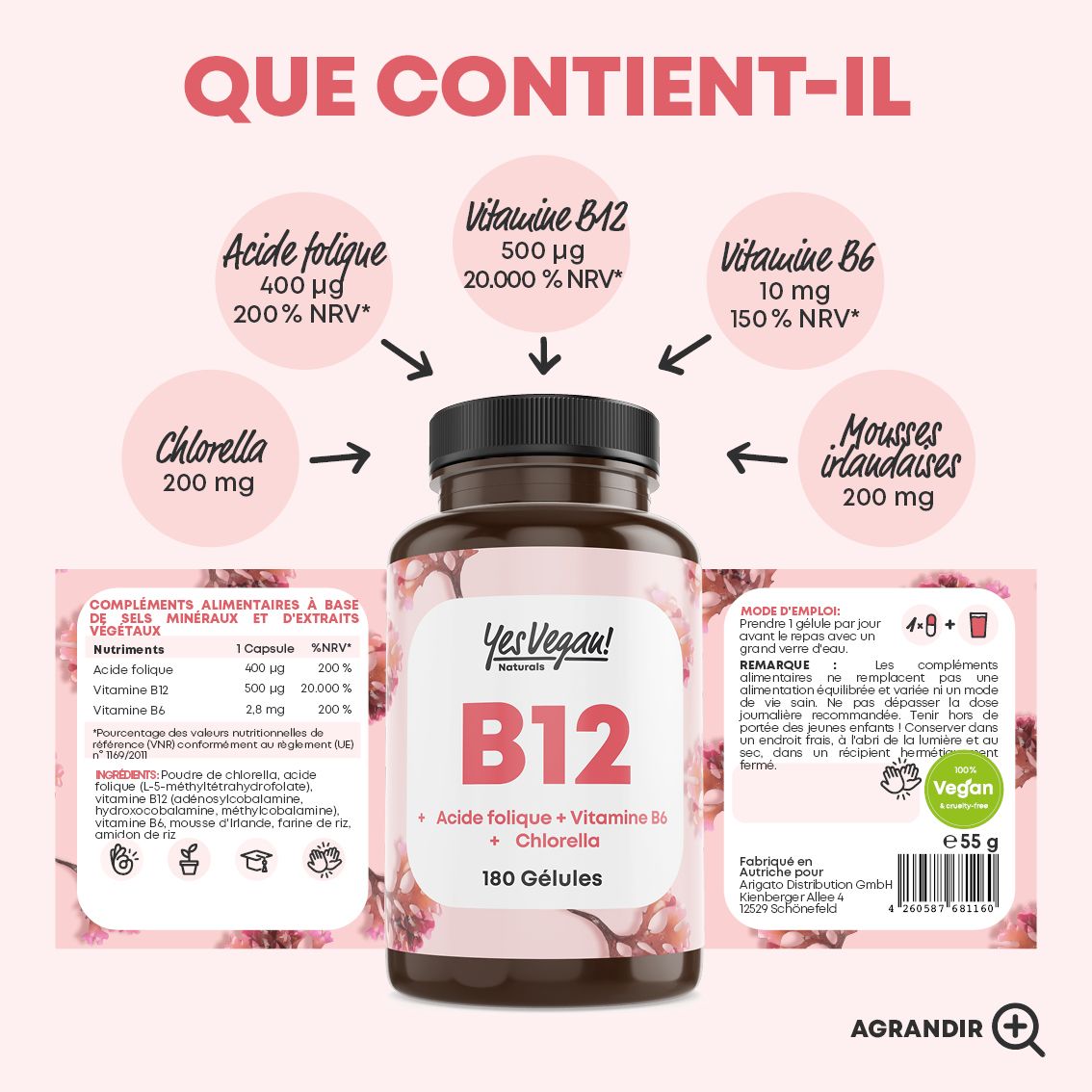Flacon et infographie des ingrédients : B12, folate, vitamine B6, chlorella.