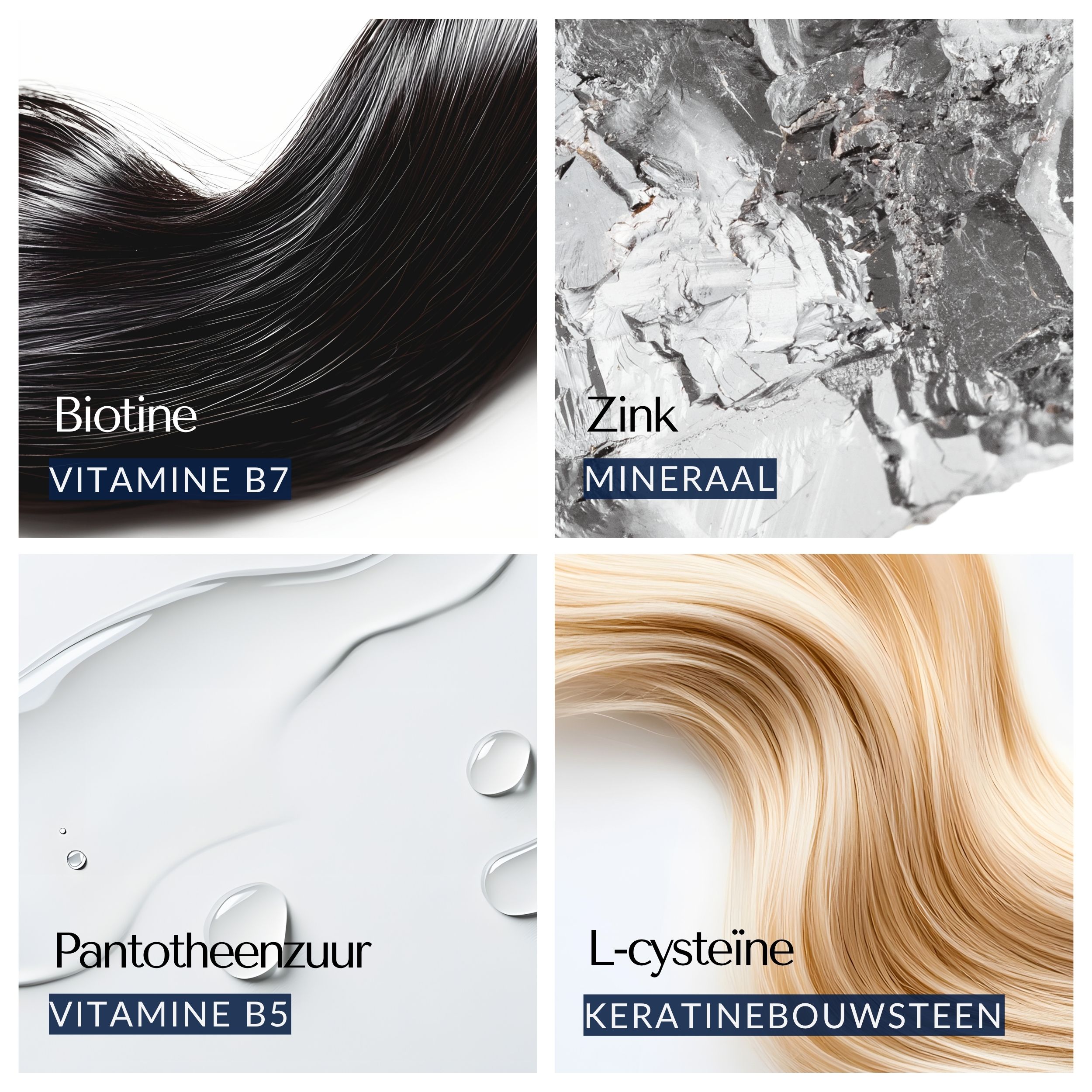 Vier afbeeldingen: haar, zink, pantotheenzuur, L-cysteïne. Tekst: Biotine, Zink, Vitamine B5, Keratinebouwsteen.