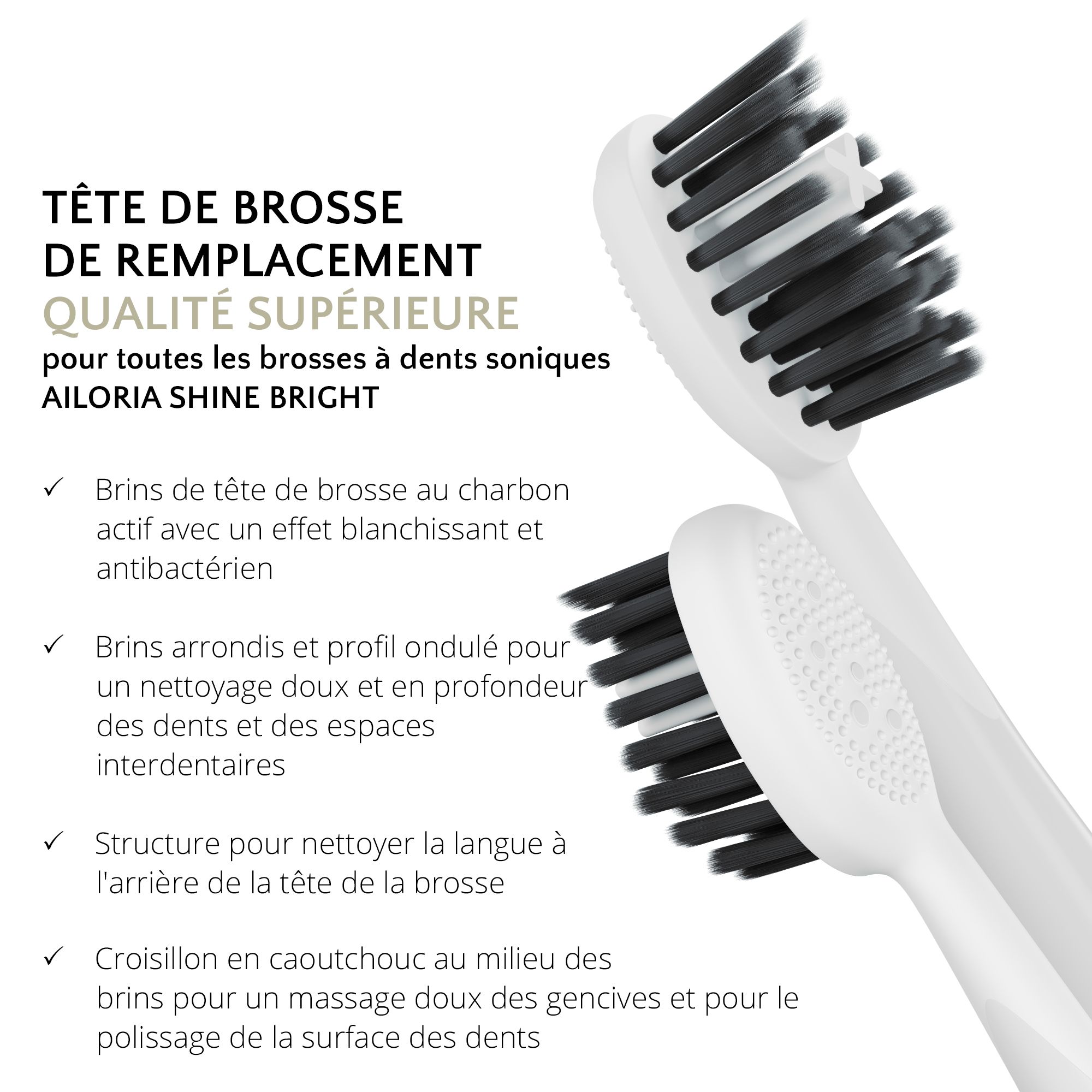 Deux têtes de brosse à dents blanches avec soies noires. Texte: TÊTE DE REMPLACEMENT, QUALITÉ SUPÉRIEURE, AILORIA SHINE BRIGHT.