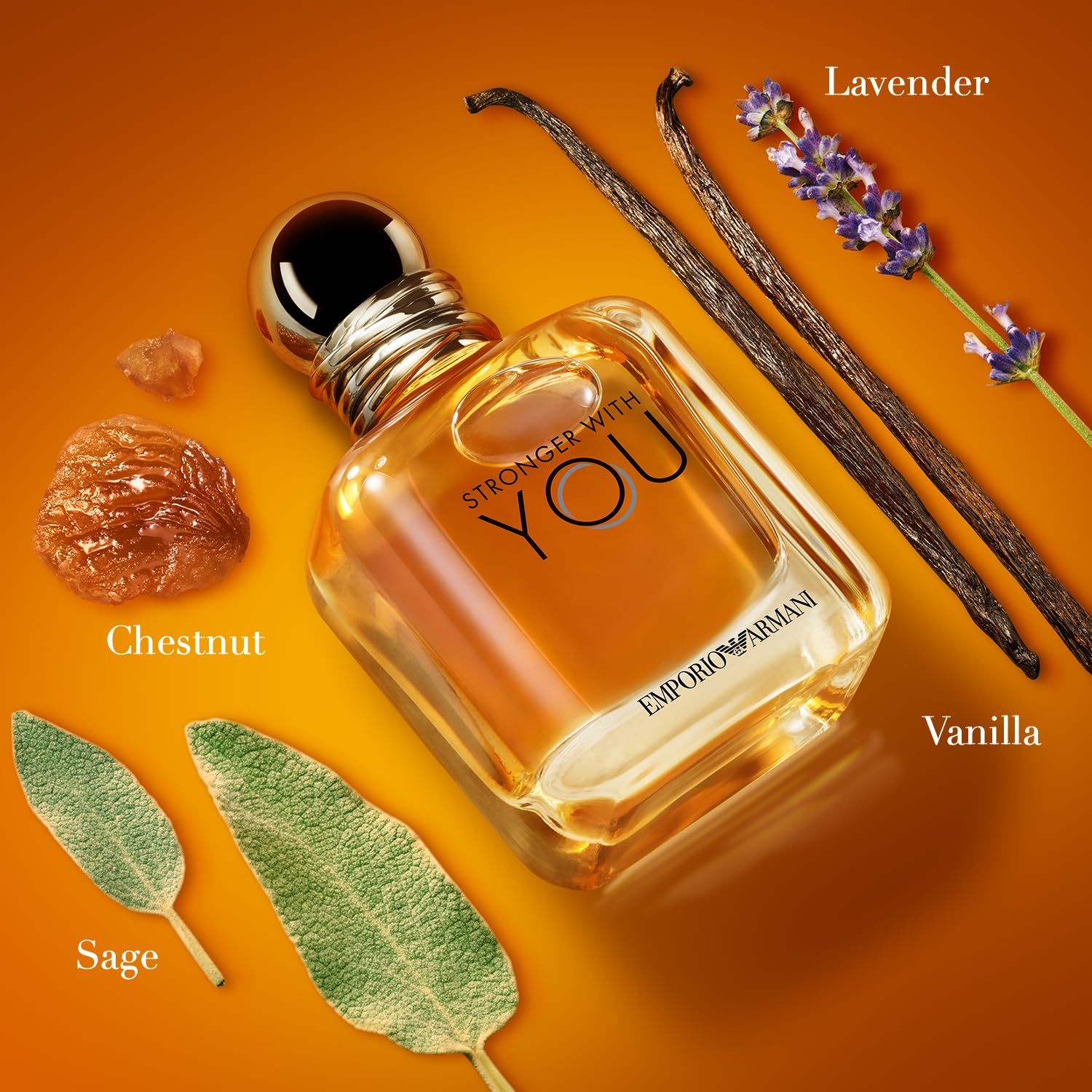 Fles met ingrediënten: kastanje, salie, lavendel, vanille. Opschrift: STRONGER WITH YOU en EMPORIO ARMANI.