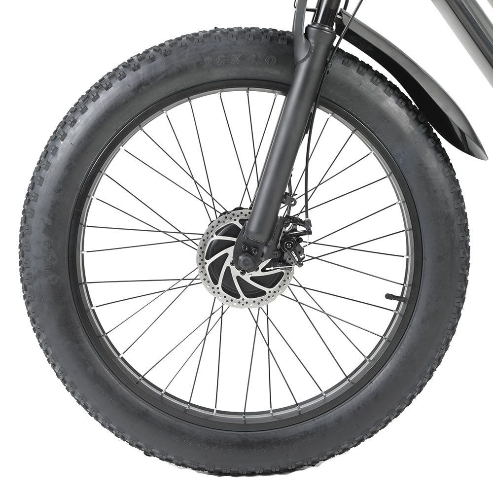 RICH BIT C01 VTT électrique, batterie 48 V 20 Ah, suspension intégrale