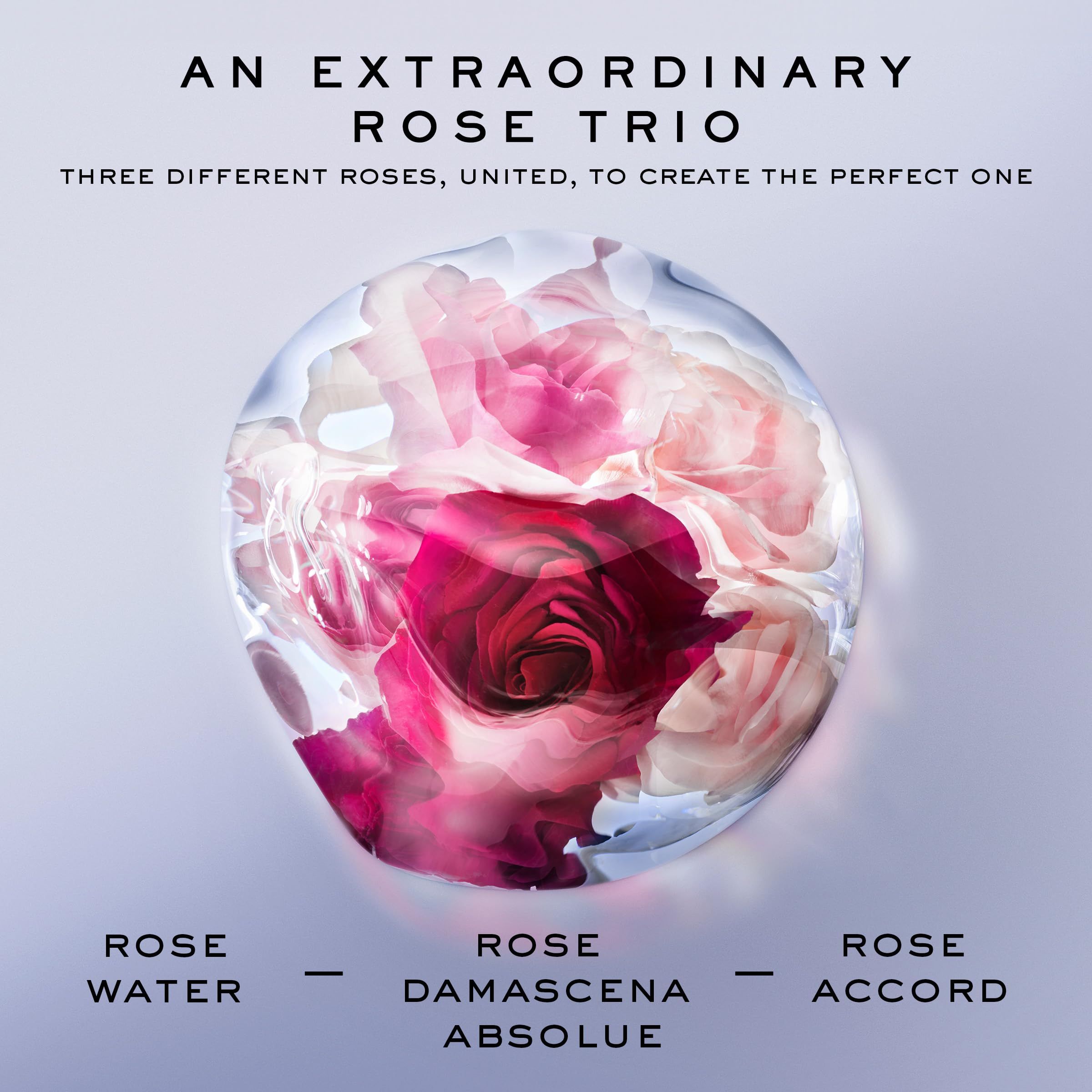 Sphère de roses. Texte : AN EXTRAORDINARY ROSE TRIO. Rose Water, Rose Damascena Absolue, Rose Accord.