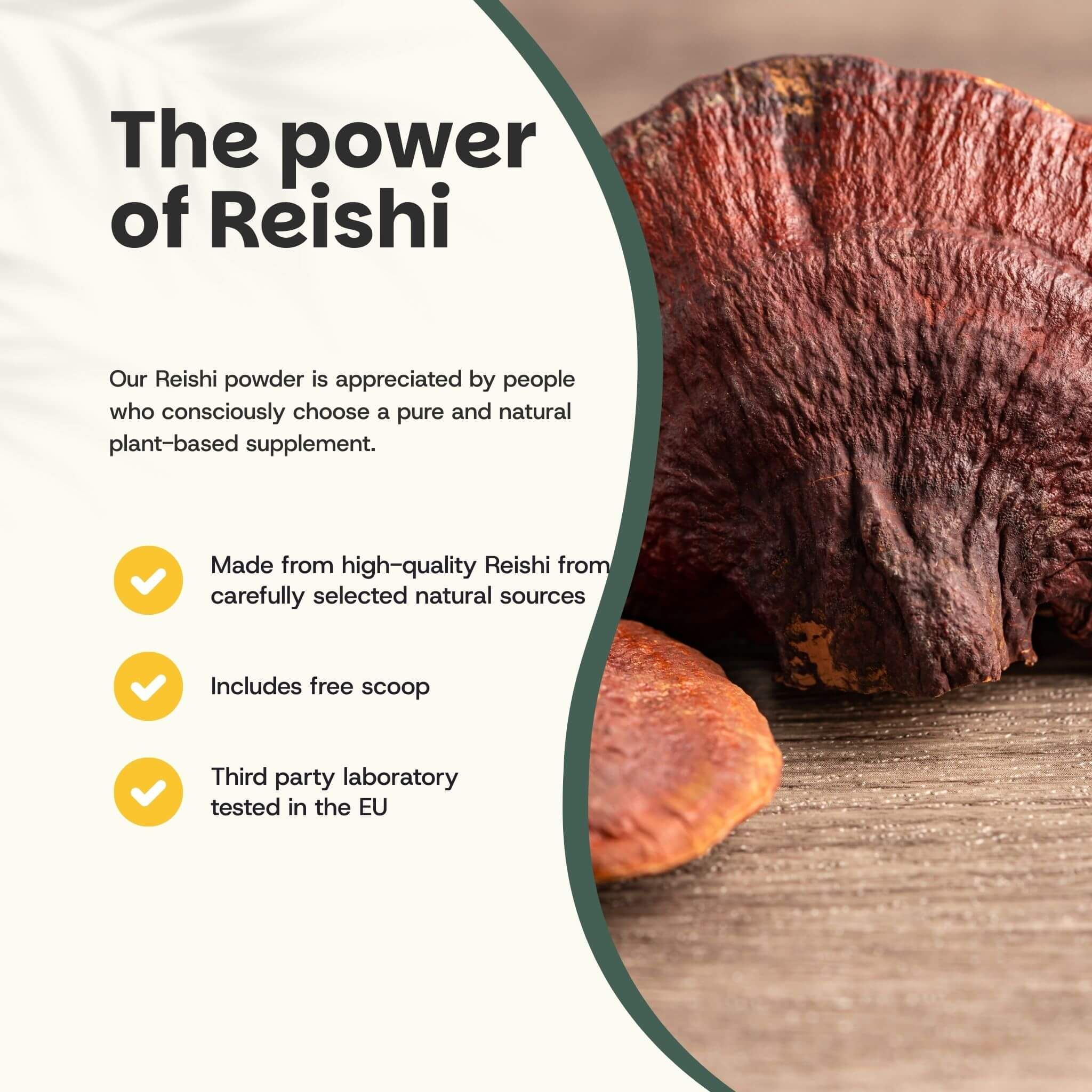 Texte : Le pouvoir du Reishi. Fabriqué à partir de Reishi de haute qualité. Comprend une cuillère. Testé en laboratoire dans l'UE.
