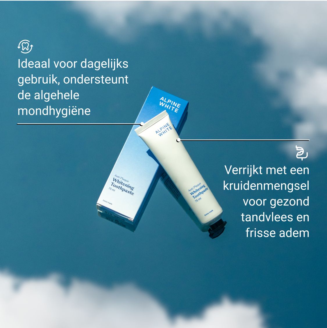 Tandpasta en doos. Tekst: ALPINE WHITE, Whitening Toothpaste. Tekst: Ideaal voor dagelijks gebruik, ondersteunt de algehele mondhygiëne.