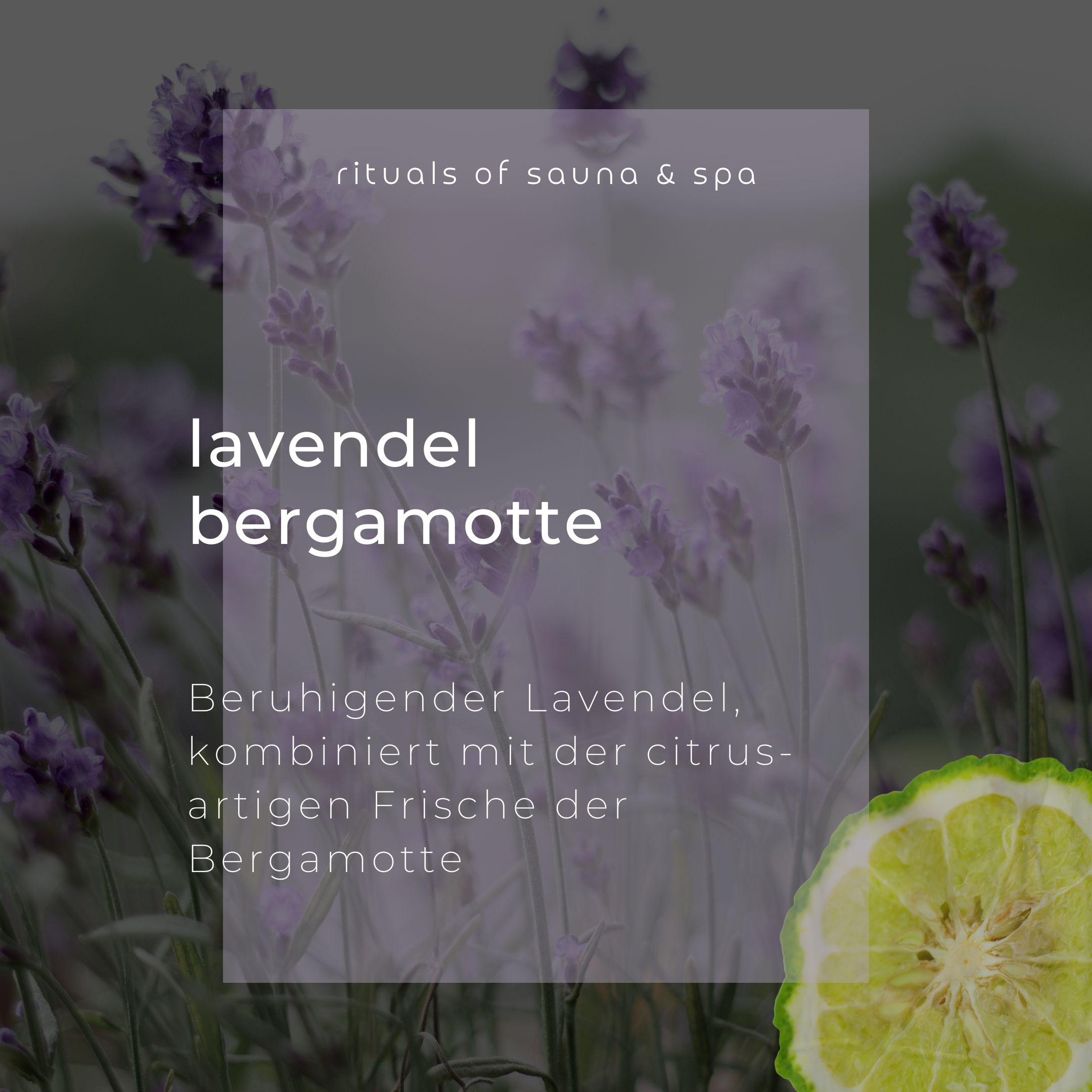 Texte sur fond transparent : Lavande Bergamote. Texte sur la lavande et la bergamote. Tranche de bergamote.
