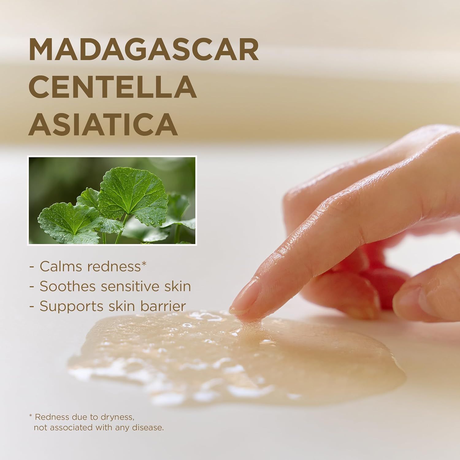 Gros plan sur les feuilles de Centella Asiatica. Main touchant le gel. Texte : Calme les rougeurs, Apaise la peau sensible, Soutient la barrière cutanée.