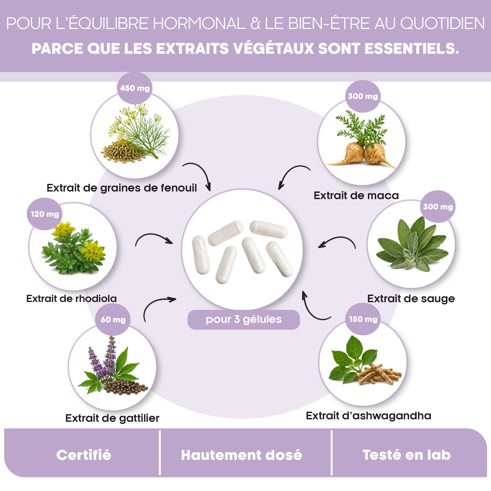 Schéma des ingrédients Hormon Balance : fenouil, maca, sauge, ashwagandha, rhodiola, gattilier.