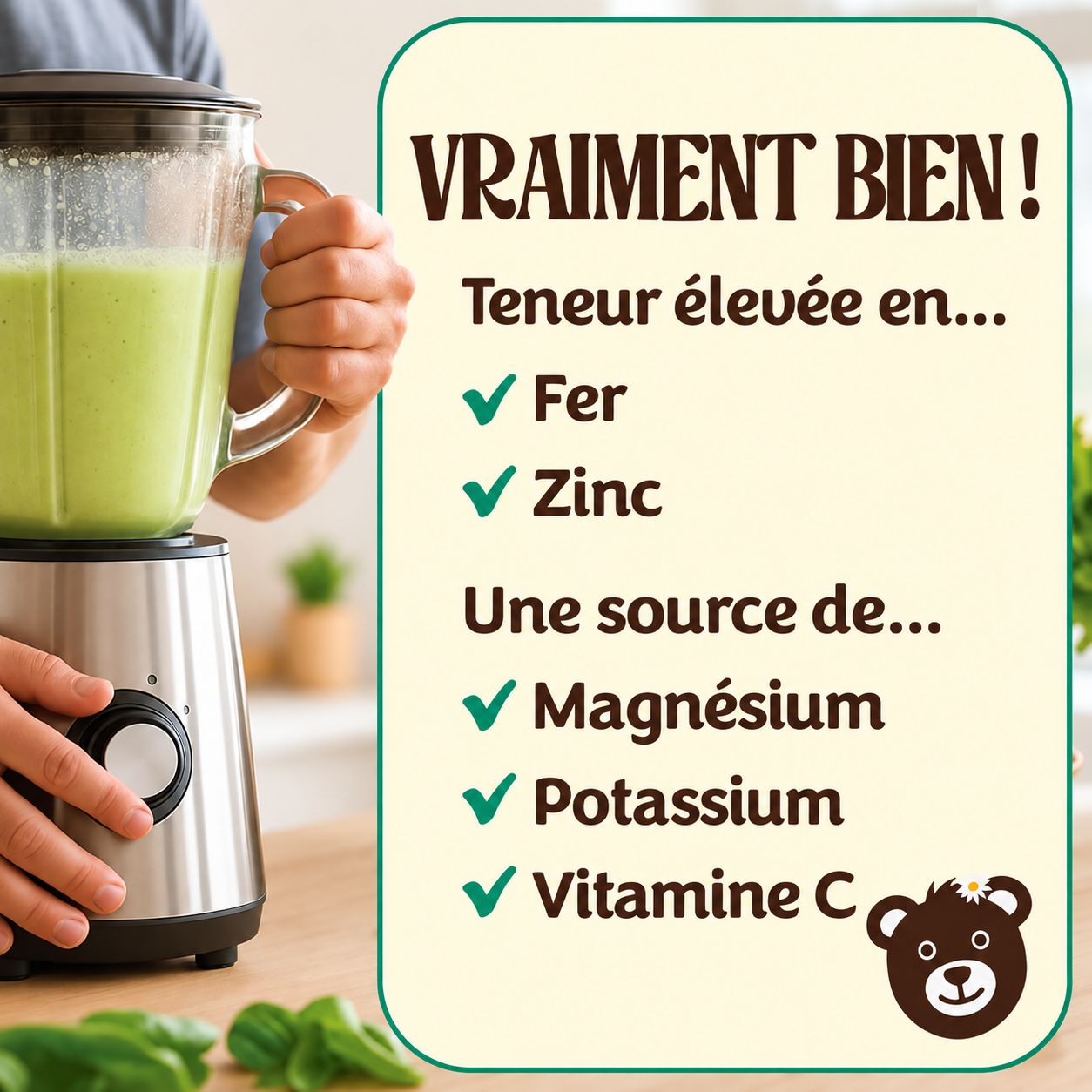 Un mixeur avec un smoothie vert. Texte à côté : 'Vraiment bien !'. Riche en fer, zinc. Source de magnésium, potassium, vitamine C.