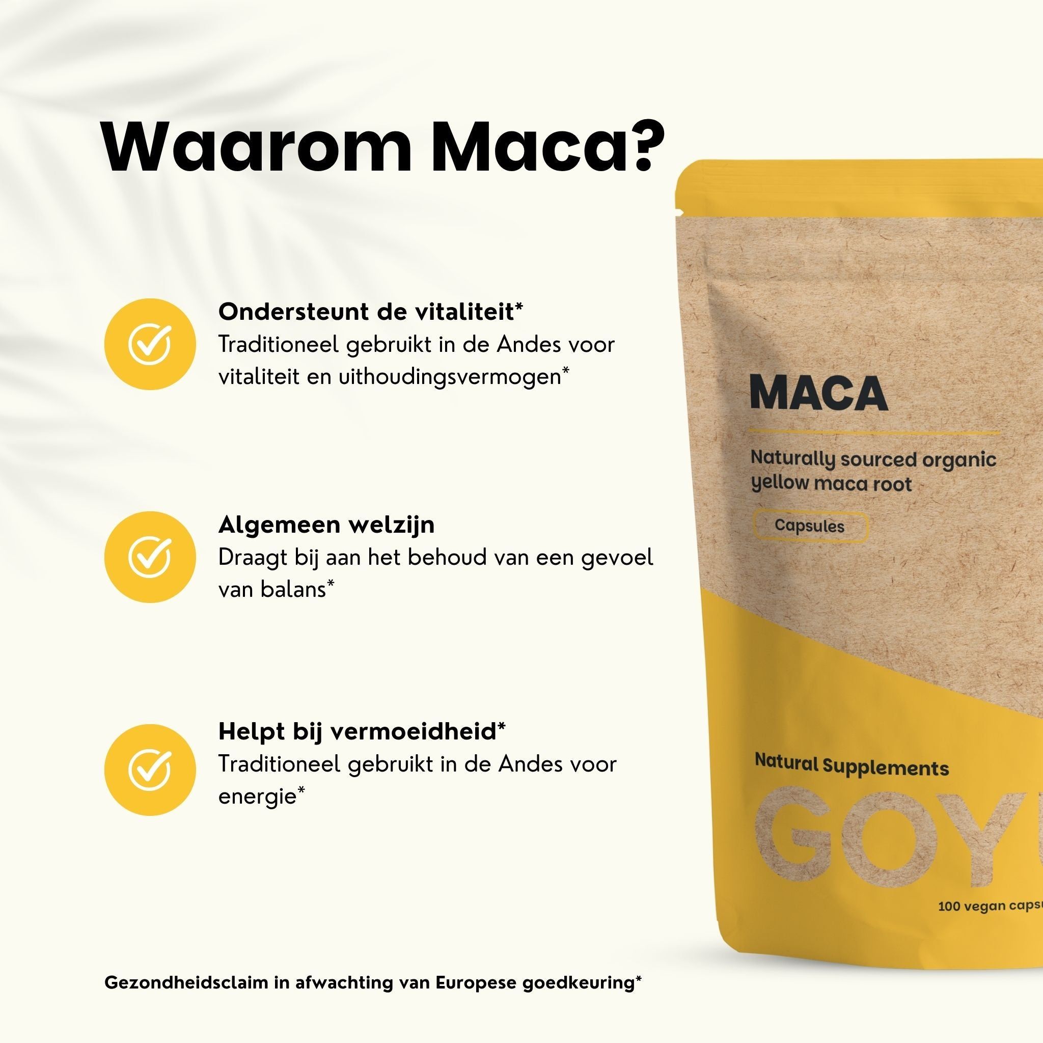 Macapoeder in een kom, een Maca-wortel en tekst over 500mg, vegan capsules en EU-tests.