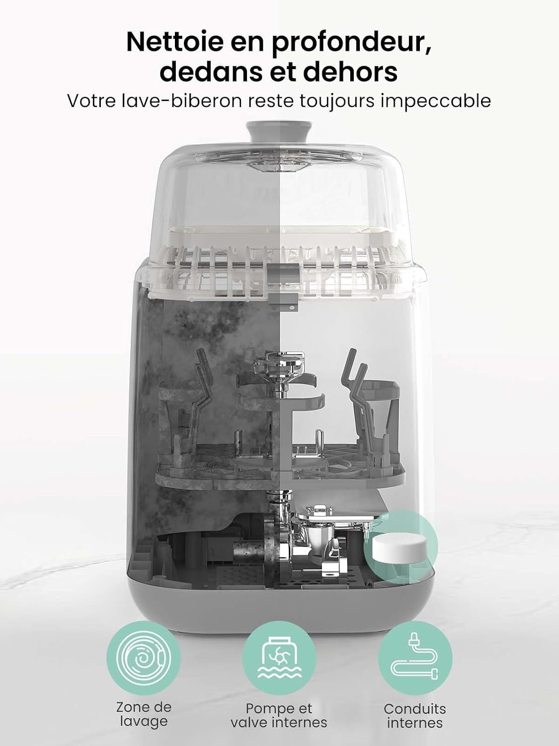 Vue en coupe d'un lave-biberon montrant la zone de lavage, la pompe et les conduits internes.