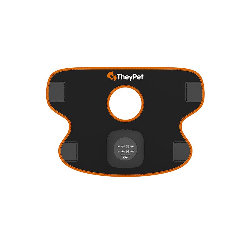 Tester - Genouillère de luminothérapie LED pour chiens et chevaux - lumière rouge