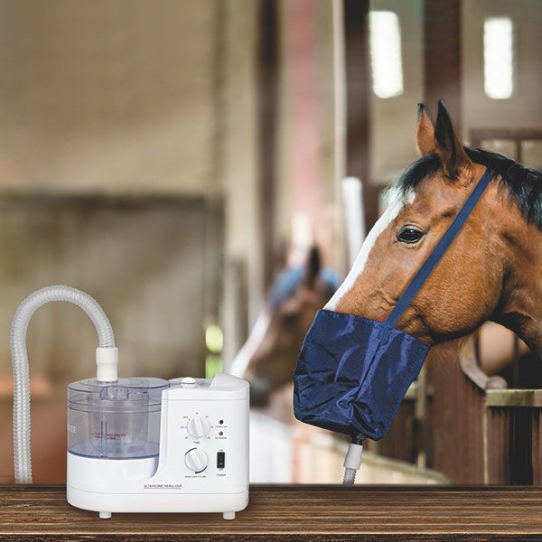 Inhalatieapparaat voor paarden, wit. Met slang en masker op het paard. Paard in de stal, masker blauw.
