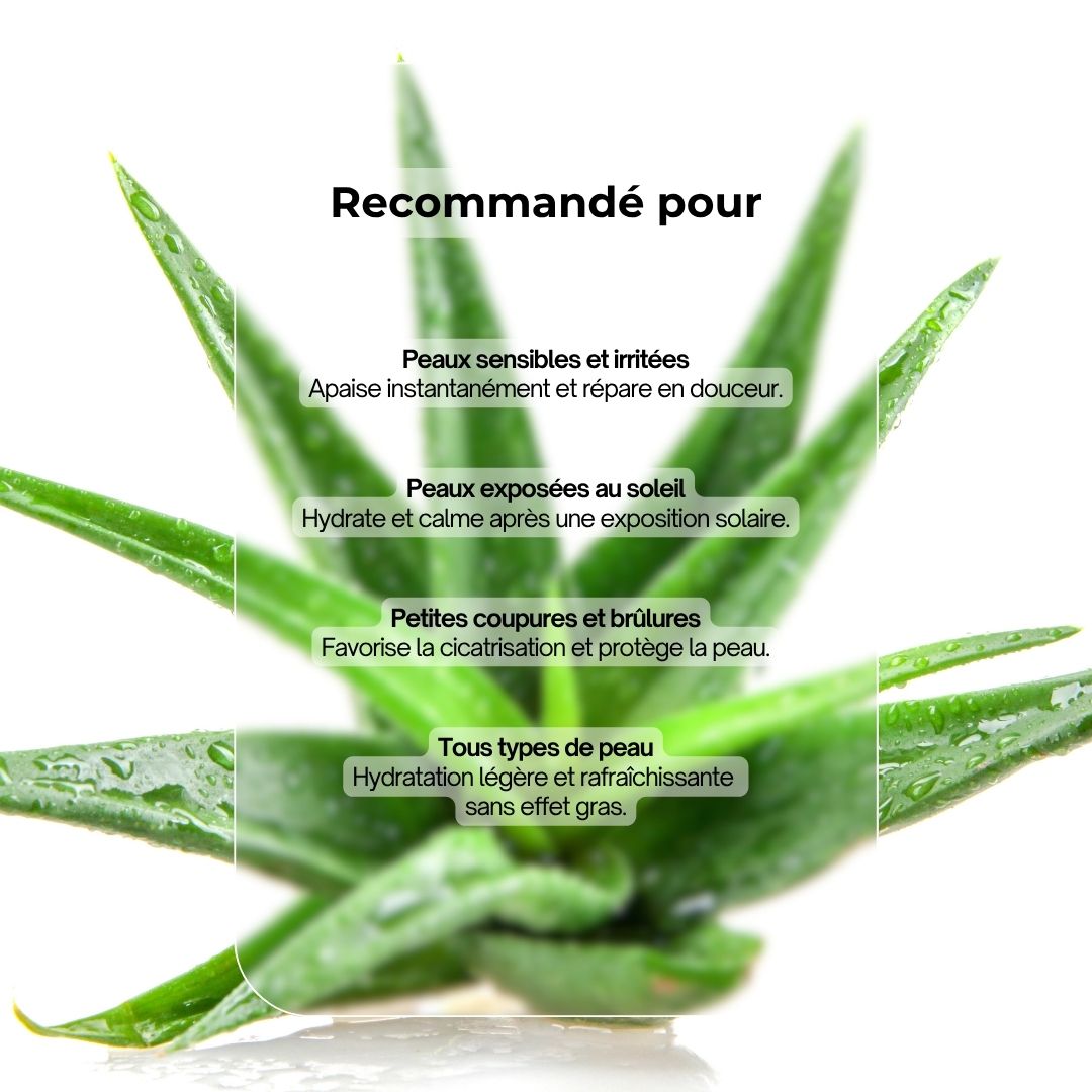 Feuilles d'aloe vera avec texte. Texte : Recommandé pour : petites coupures, tous types de peau, peau sensible, peau stressée par le soleil.