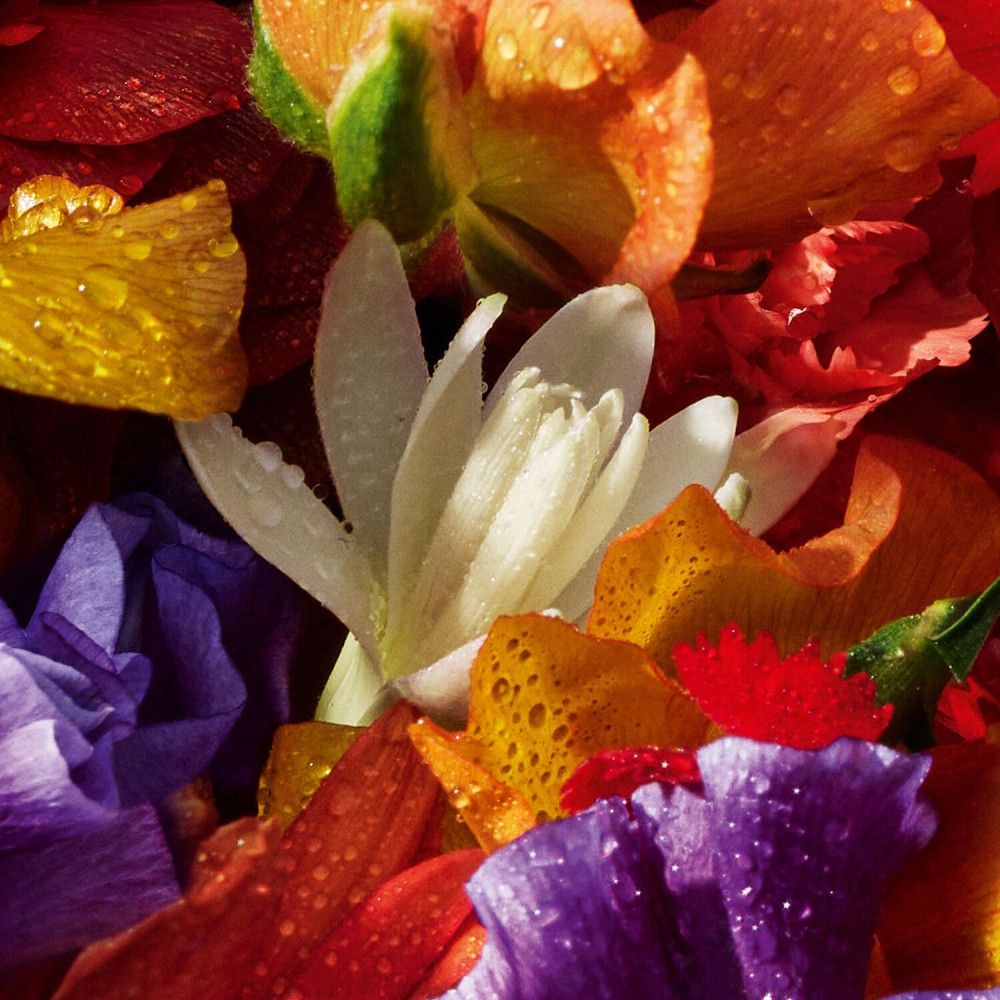 Close-up van gekleurde bloemblaadjes met waterdruppels. Kleuren: geel, oranje, rood, paars en wit.