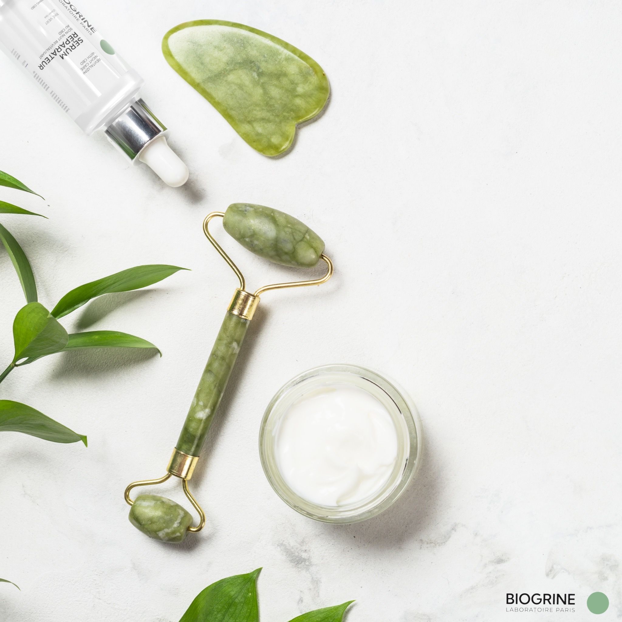 BIOGRINE Herstellend serum – Nachtverzorging met CBD en groene thee voor een vitale, frisse huid