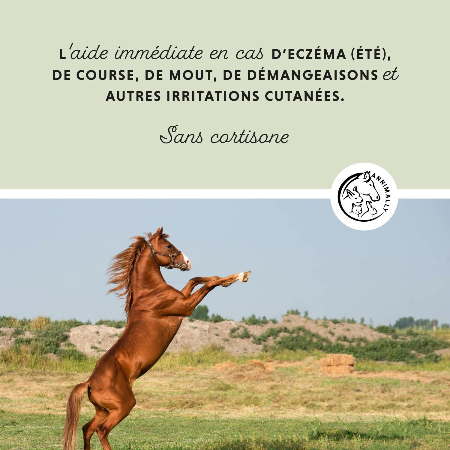 Texte sur fond vert. Image d'un cheval qui se cabre. Texte : Aide immédiate pour les irritations cutanées.