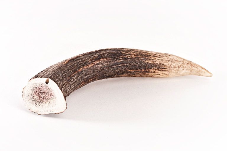 mascota vital - hertengeweien hond