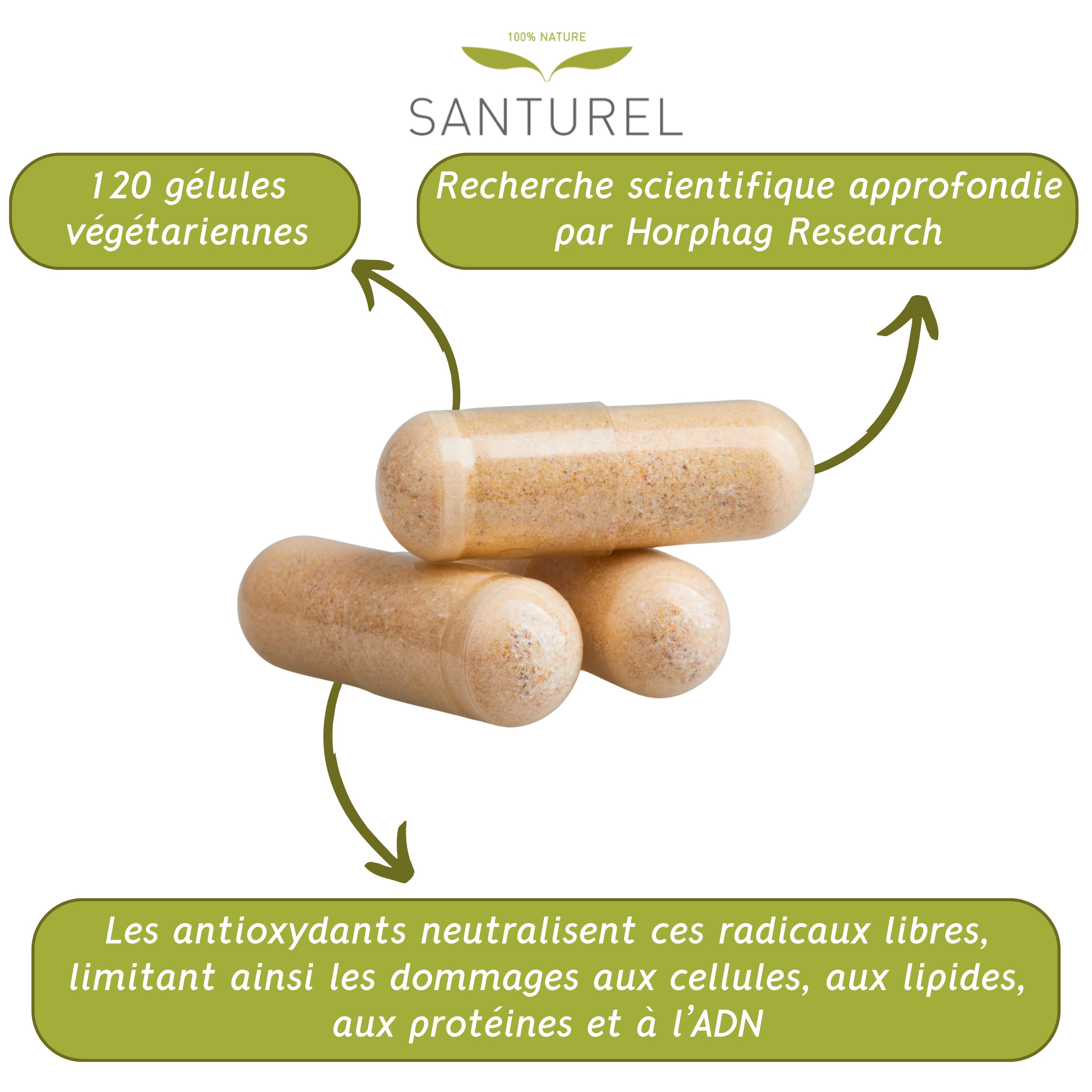 Trois gélules. 120 gélules végétariennes. Les antioxydants neutralisent les radicaux libres.