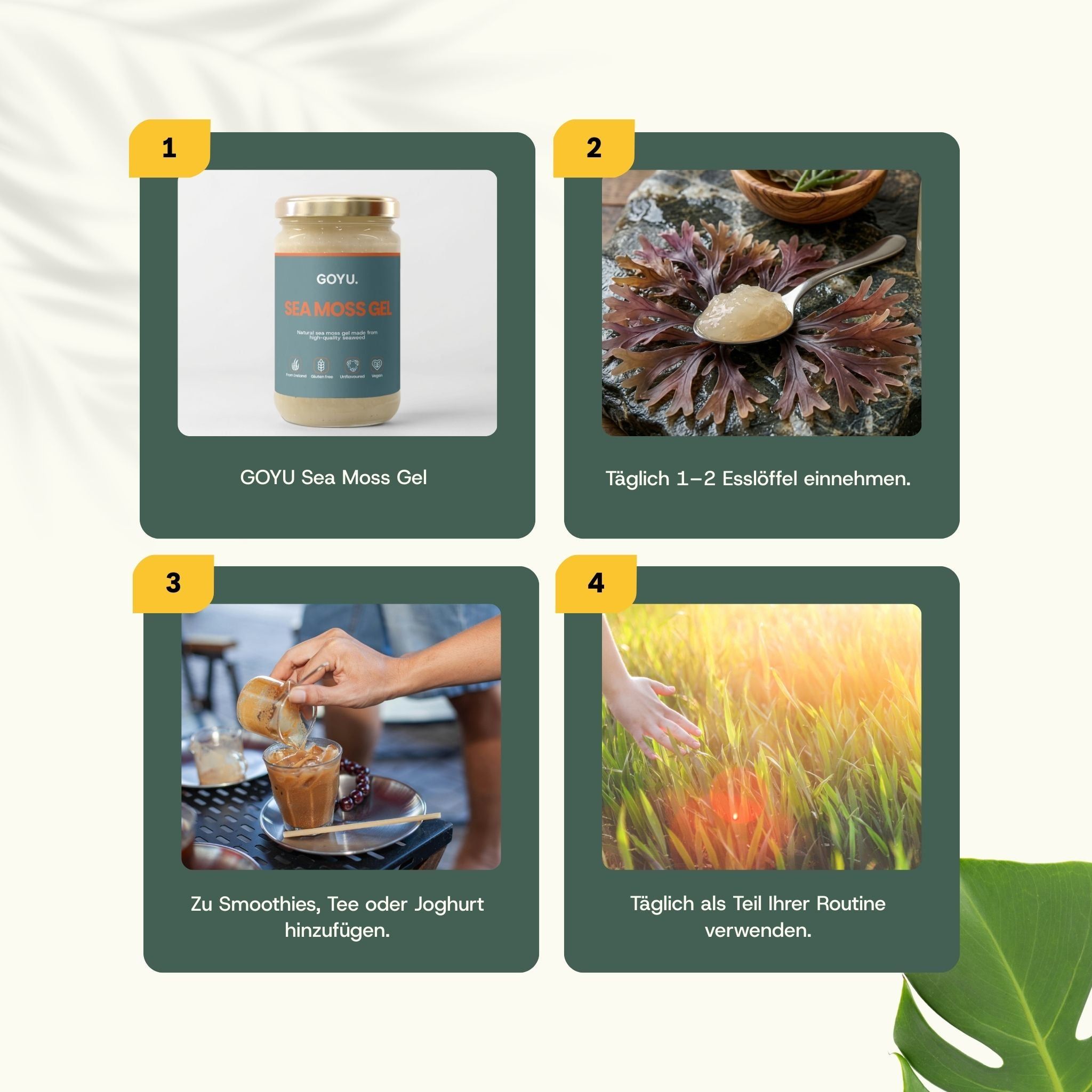 Quatre étapes pour utiliser le GOYU Sea Moss Gel : produit, prise, mélange, utilisation quotidienne.