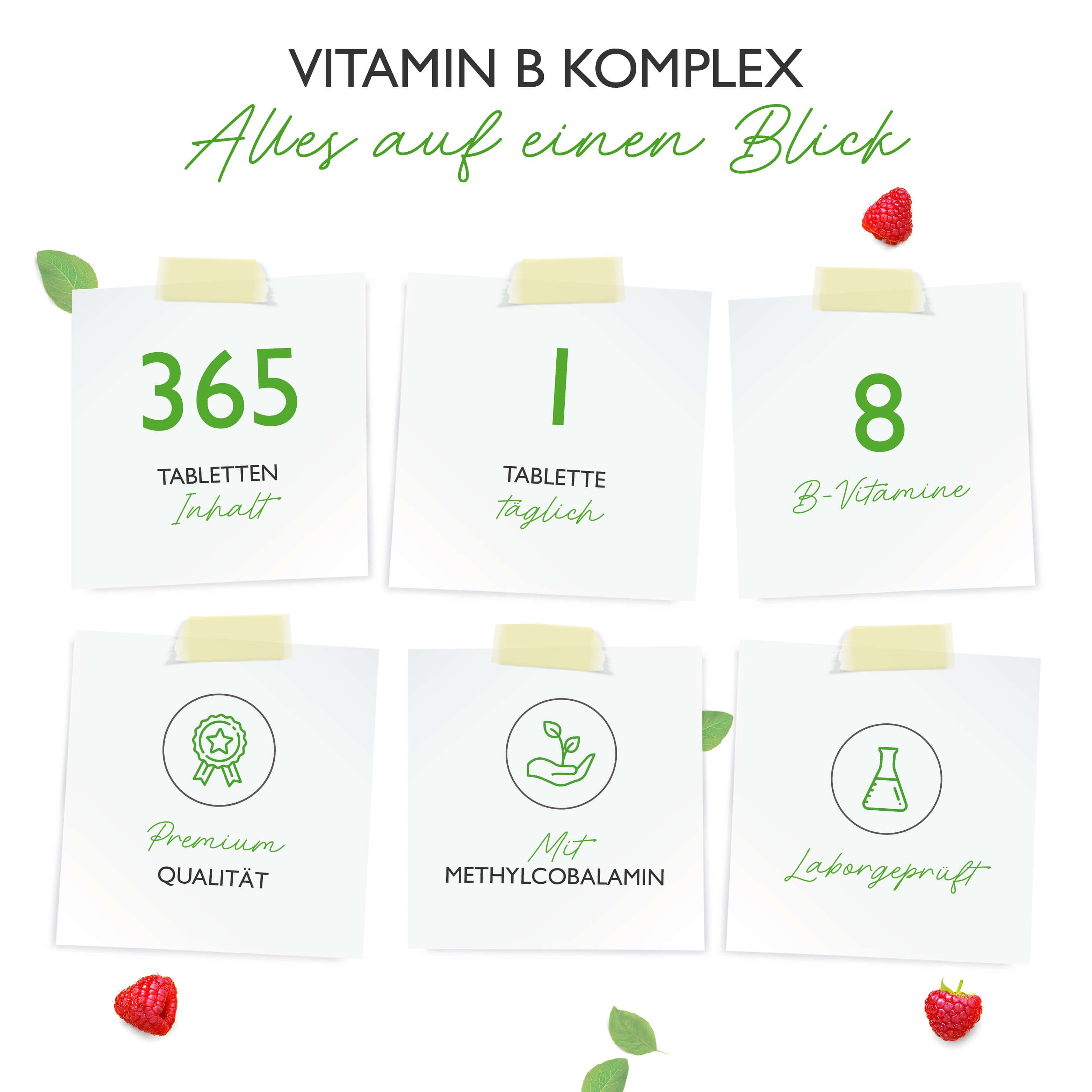 Infographie avec 6 pense-bêtes. 365 comprimés, 1 comprimé par jour, 8 vitamines B, qualité premium, avec méthylcobalamine, testé en laboratoire. Fraises.