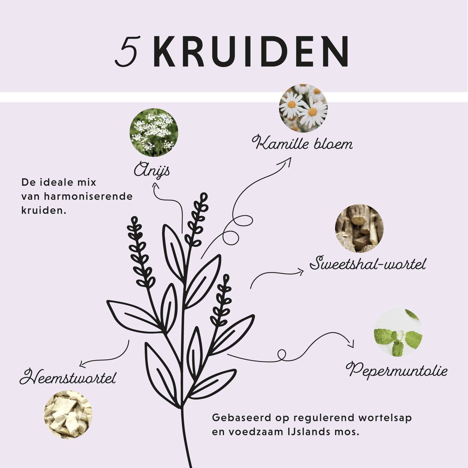 Paarden in gras. Tekst: Voedingsadvies. Fles 1000 ml. Paardenlogo. Gemaakt in Duitsland.