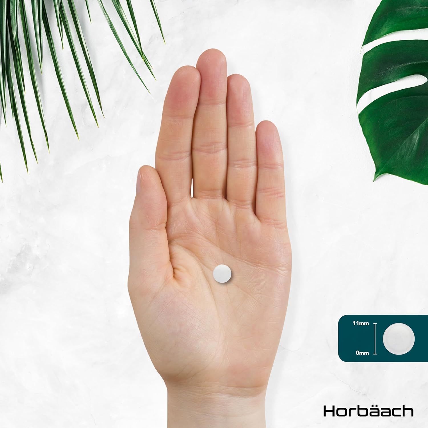 Hand houdt een witte zinktablet vast. Afmetingen: 11mm x 6mm. Horbaach logo.