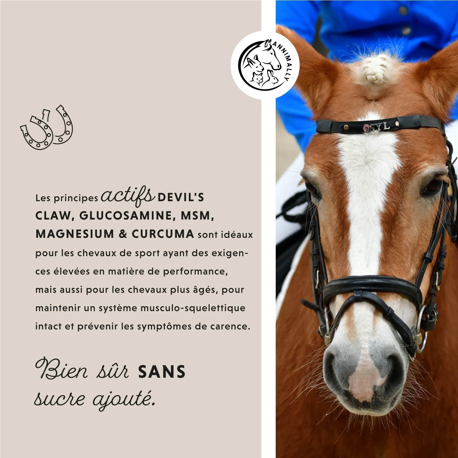Tête de cheval avec bride. Texte: Devil's Claw, Glucosamine, MSM, Magnesium & Curcuma. Sans sucre ajouté.