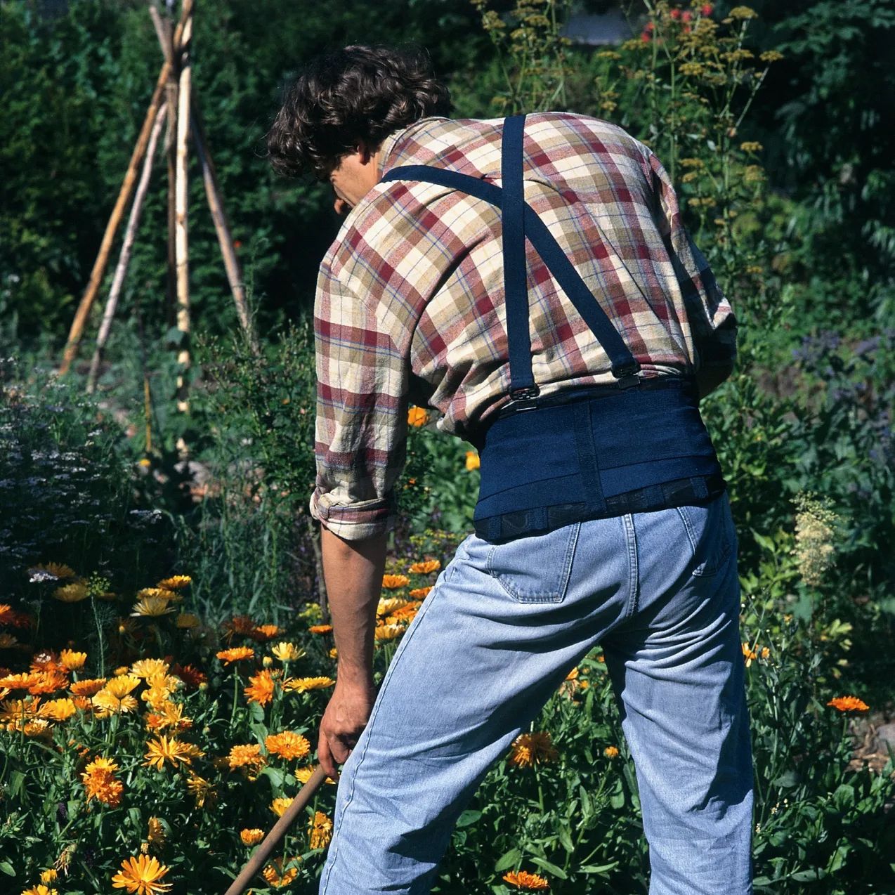 Man in de tuin met ruggordel en bretels. Werkt met een hark.