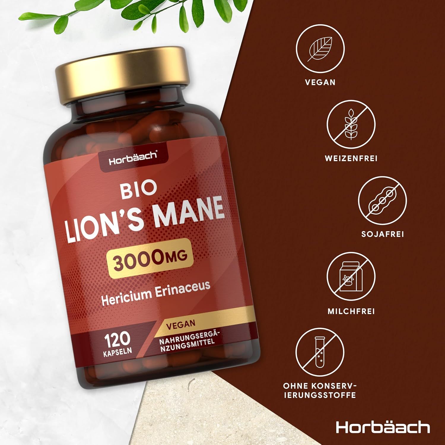 Bruine fles met capsules. Tekst: BIO LION'S MANE 3000mg, 120 capsules, Vegan. Symbolen: Vegan, tarwevrij, sojavrij, melkvrij.