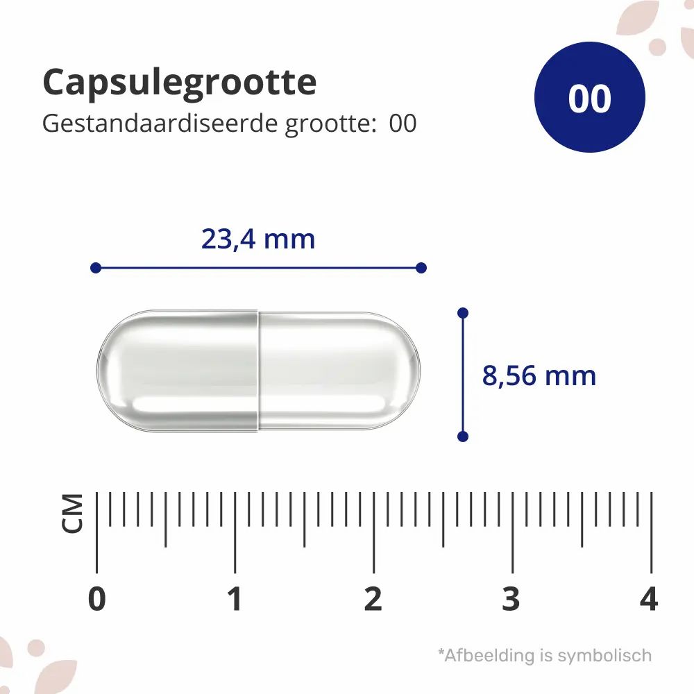 Capsule met afmetingen. Lengte: 23,4 mm, diameter: 8,56 mm. Tekst: Capsulegrootte. Gestandaardiseerde grootte: 00.