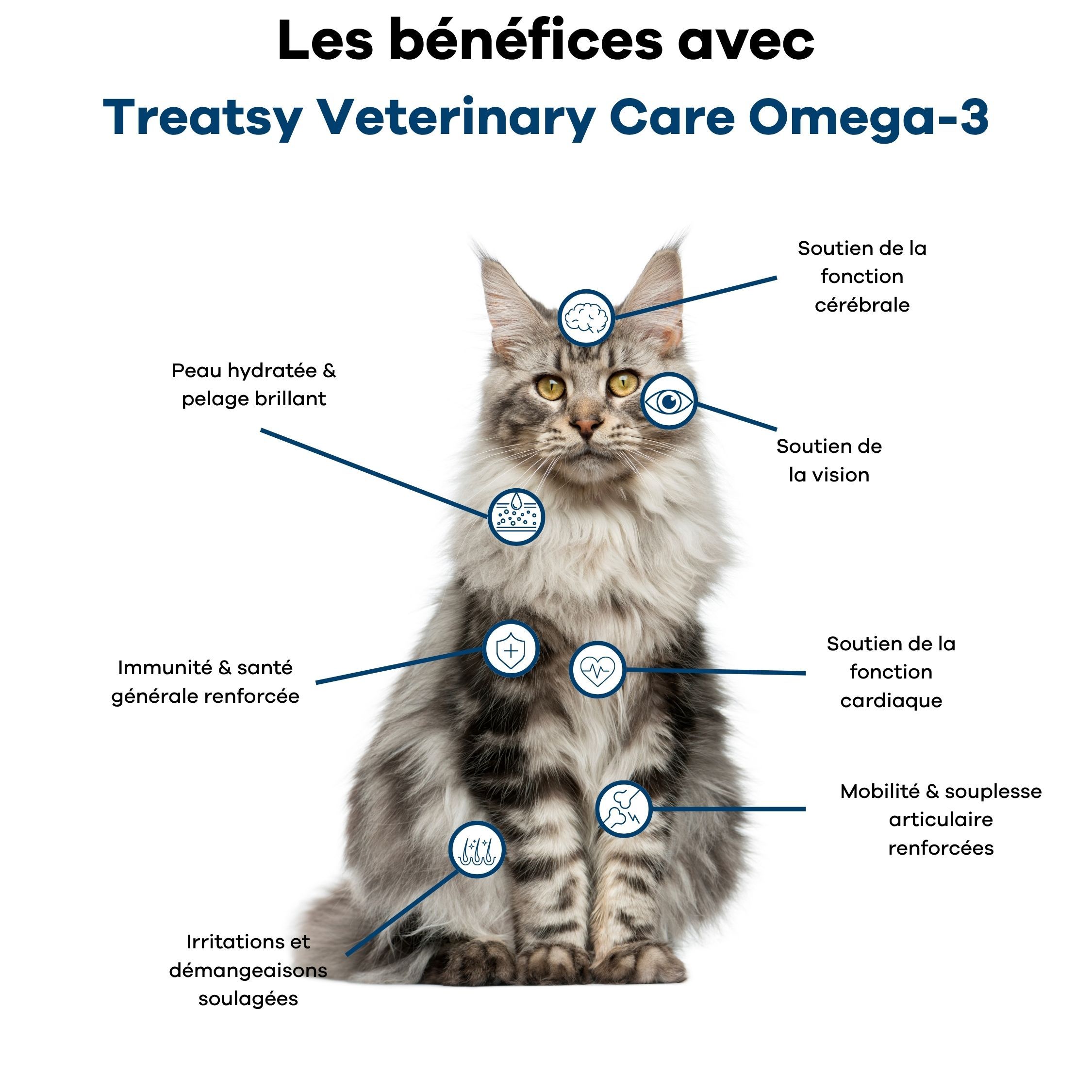Chat avec marqueurs pour les bienfaits de l'oméga-3 : cerveau, yeux, peau, immunité, cœur, articulations.