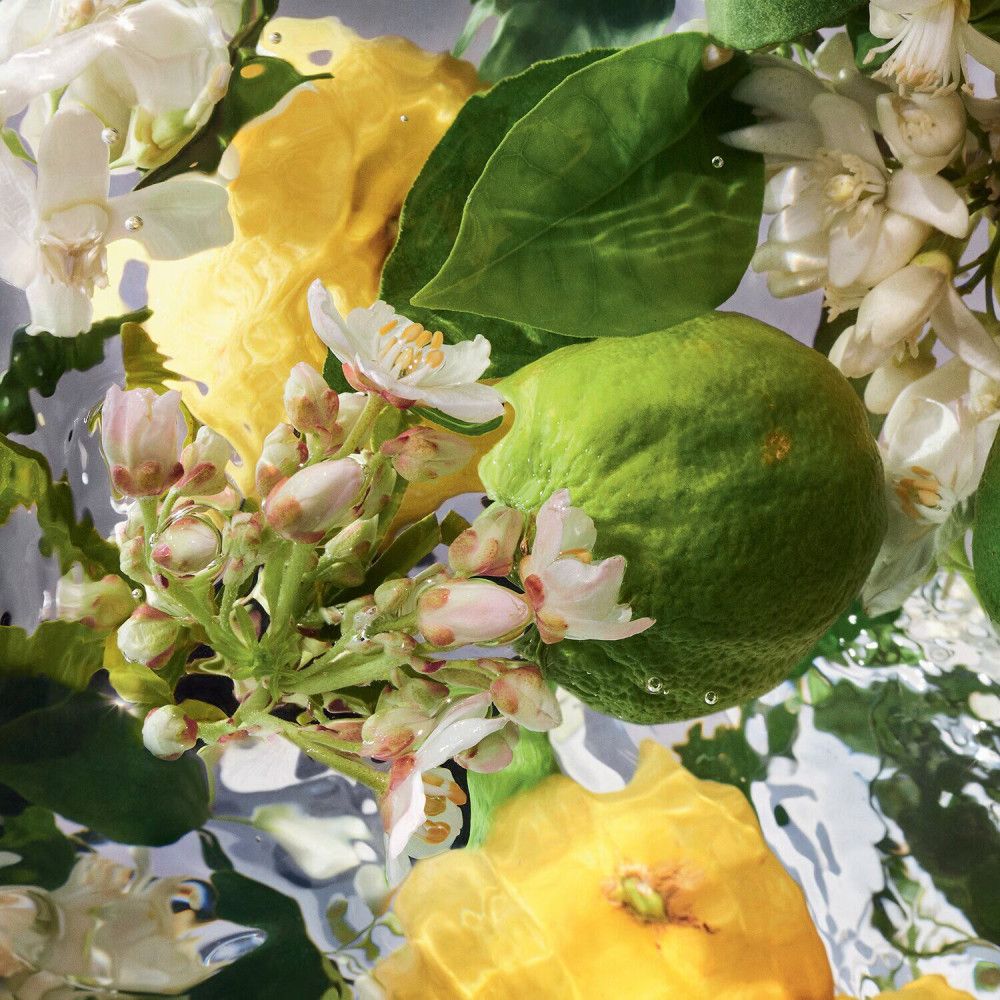 Gros plan sur des citrons, des citrons verts et des fleurs dans l'eau. Aucune désignation de produit visible.